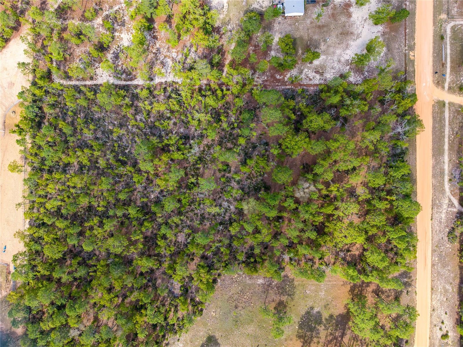 230 Melrose Landing Drive Hawthorne FL 32640 TB8499573 image2
