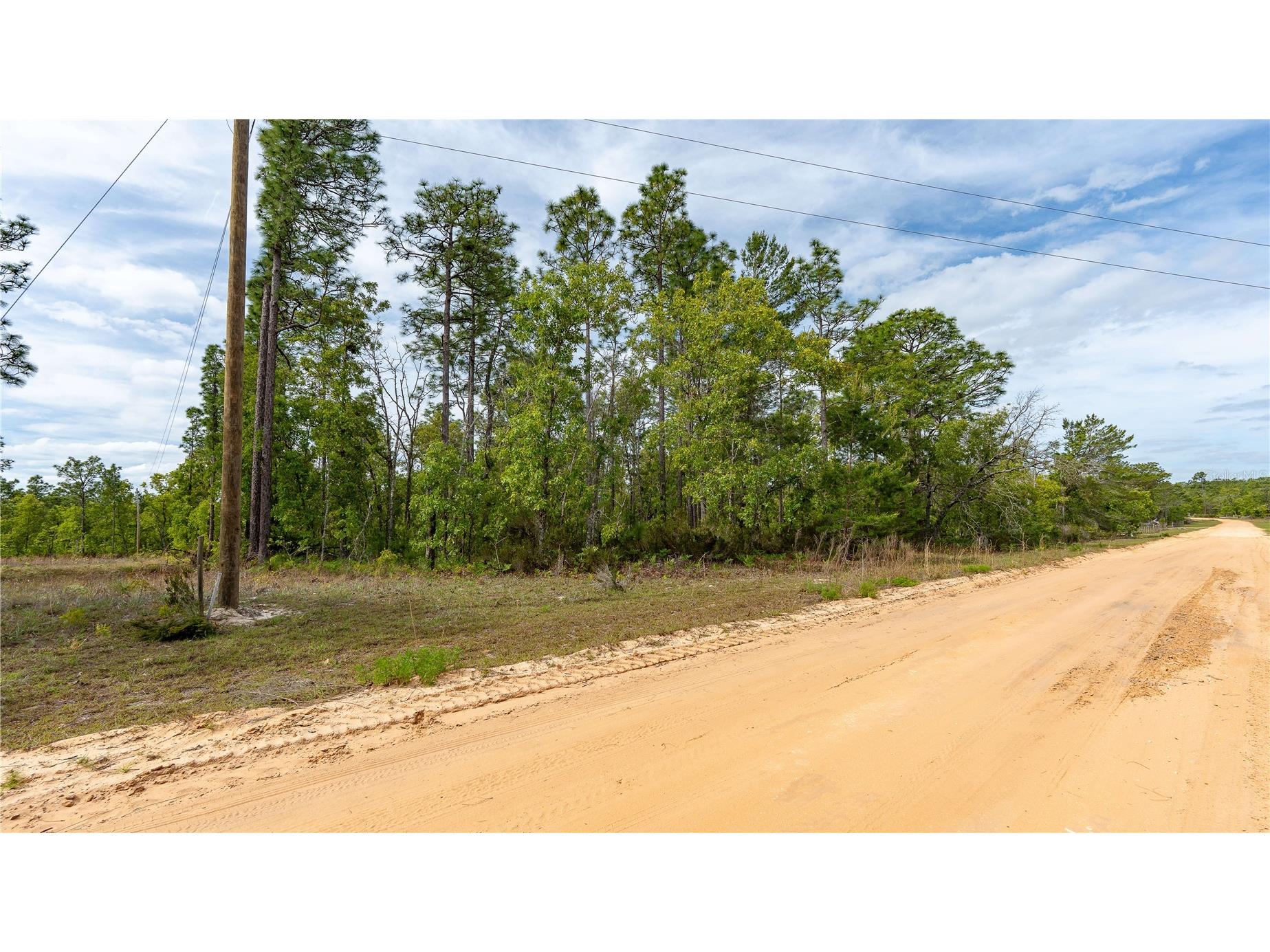 230 Melrose Landing Drive Hawthorne FL 32640 TB8499573 image20