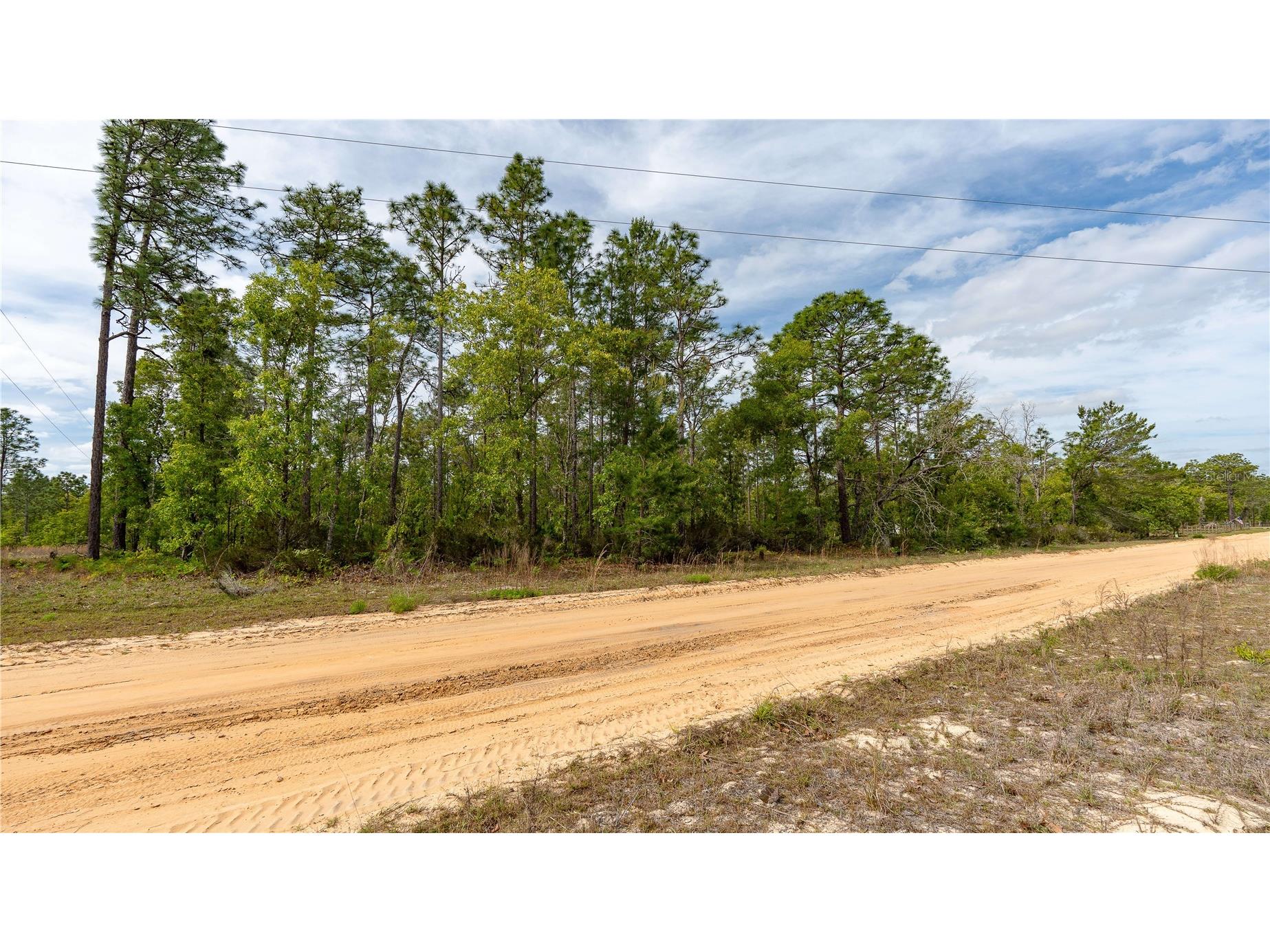 230 Melrose Landing Drive Hawthorne FL 32640 TB8499573 image22