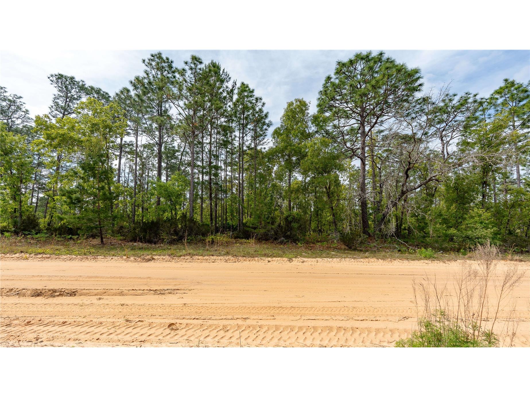 230 Melrose Landing Drive Hawthorne FL 32640 TB8499573 image25