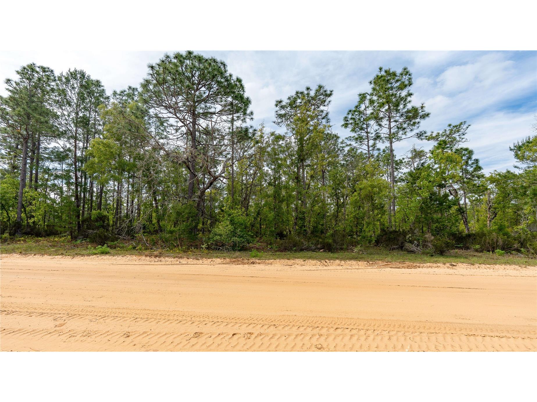 230 Melrose Landing Drive Hawthorne FL 32640 TB8499573 image28