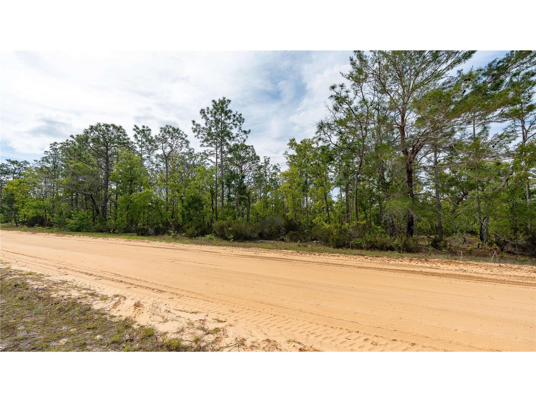230 Melrose Landing Drive Hawthorne FL 32640 TB8499573 image29