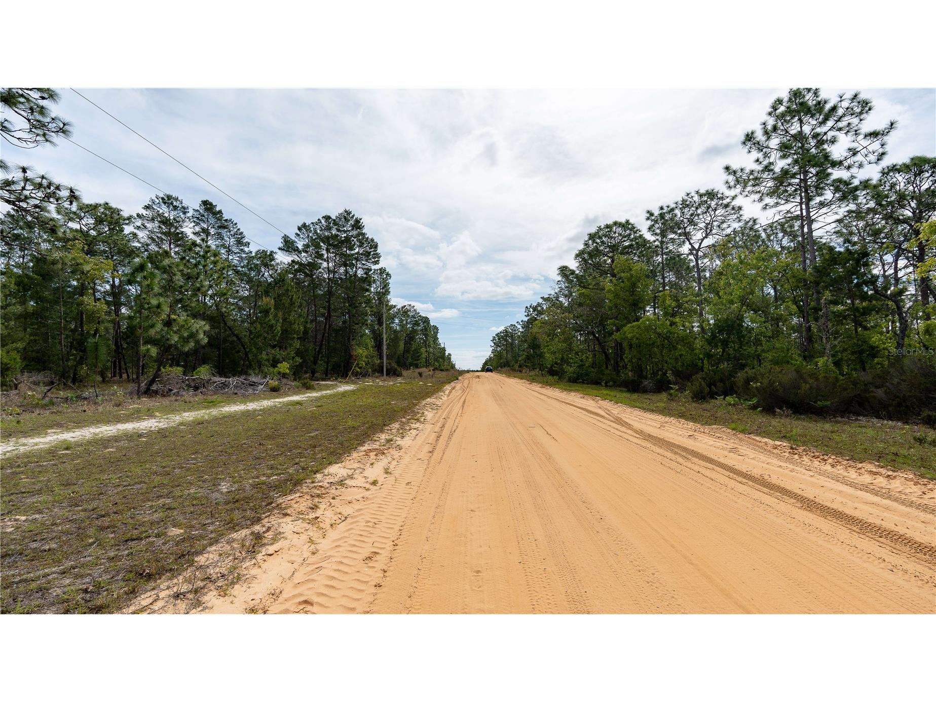 230 Melrose Landing Drive Hawthorne FL 32640 TB8499573 image32