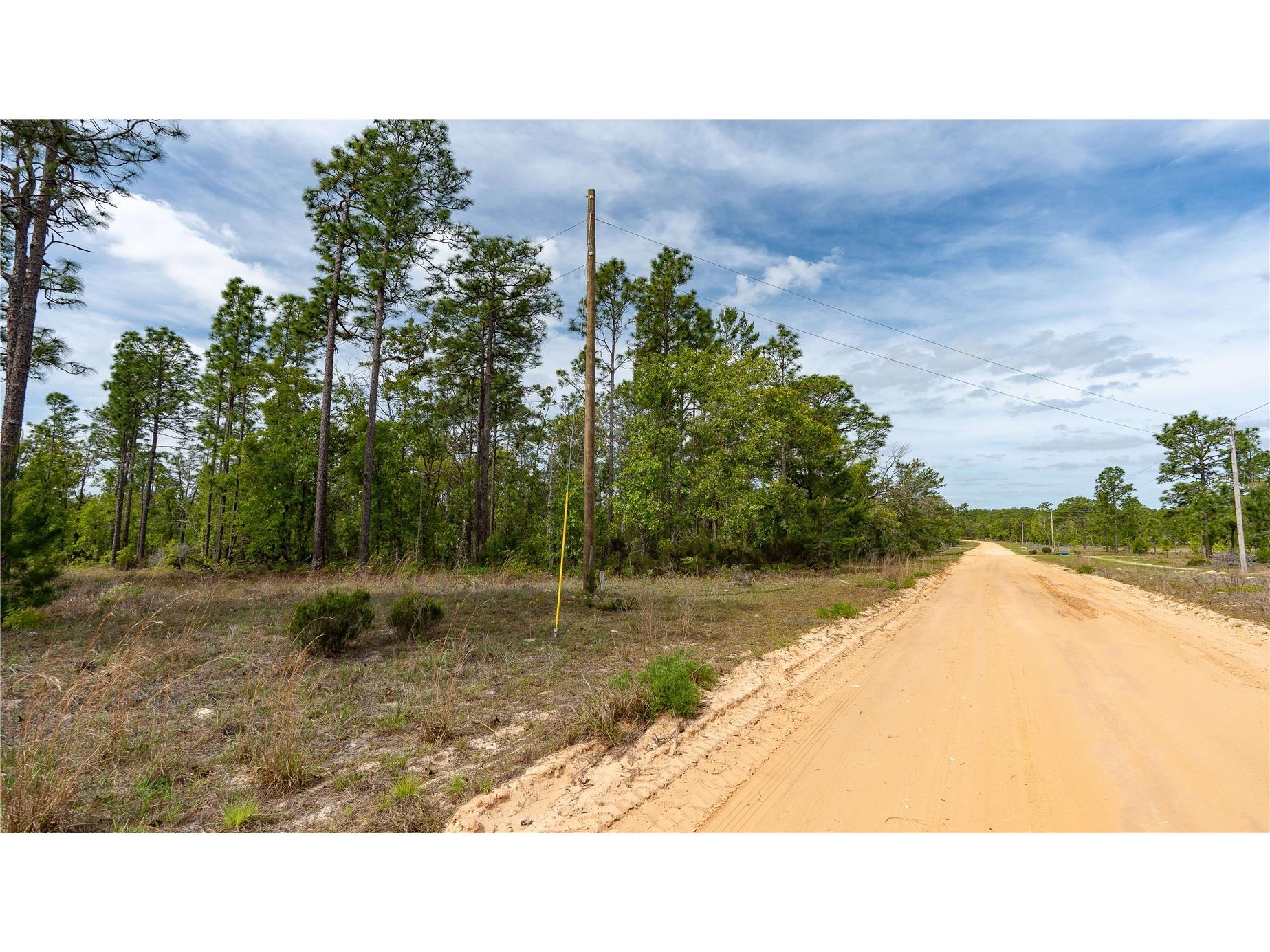 230 Melrose Landing Drive Hawthorne FL 32640 TB8499573 image35