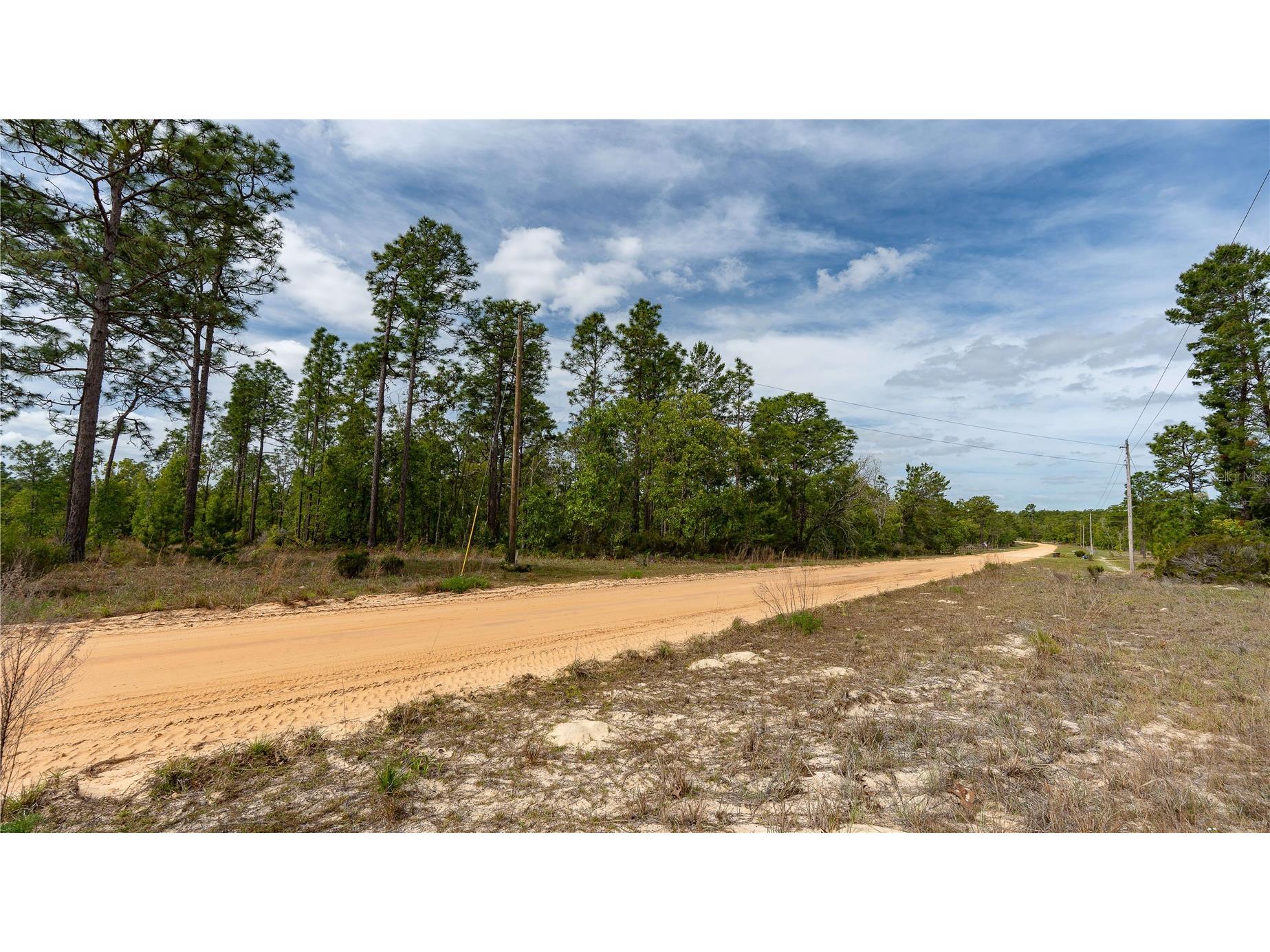 230 Melrose Landing Drive Hawthorne FL 32640 TB8499573 image37