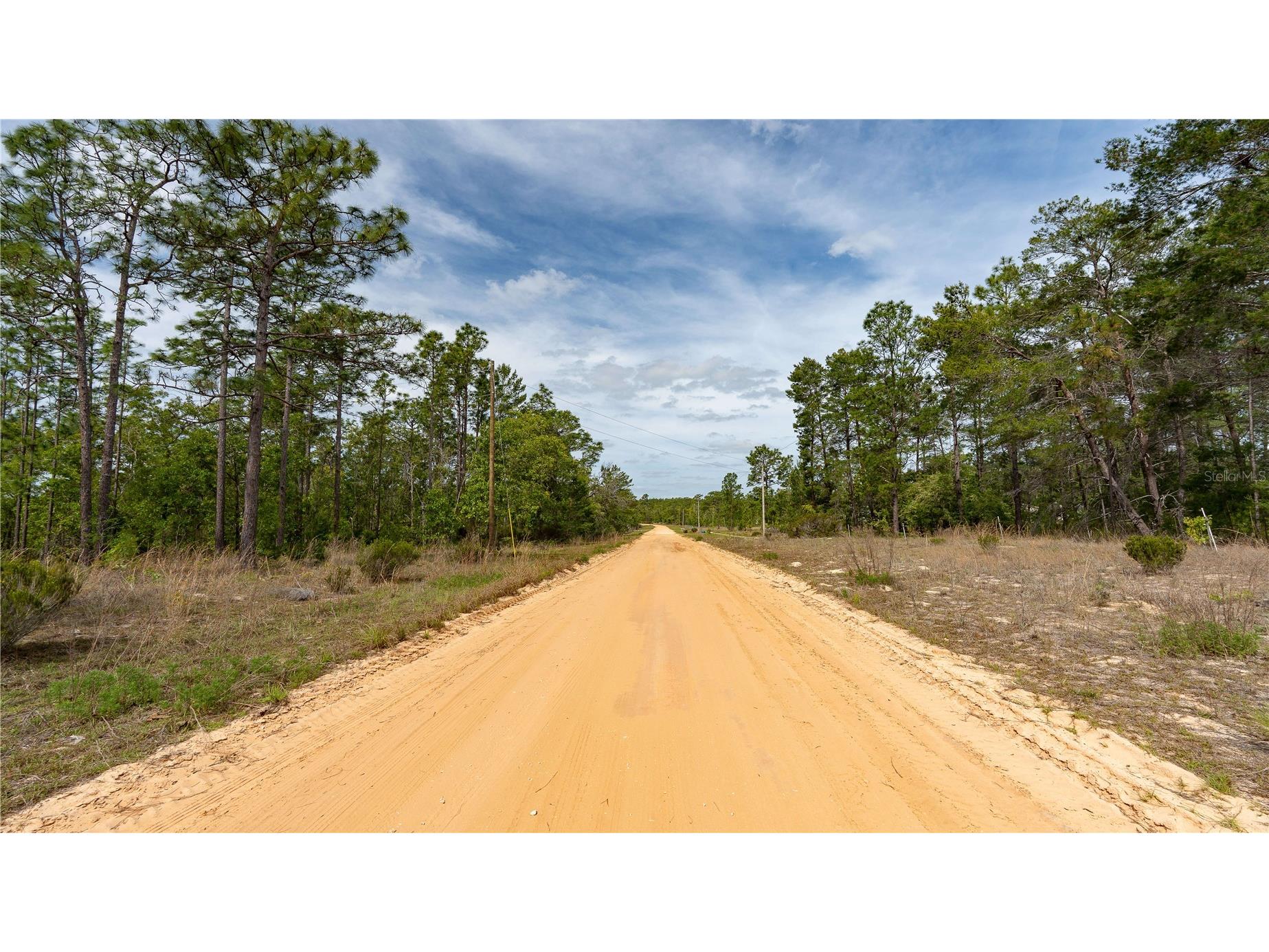 230 Melrose Landing Drive Hawthorne FL 32640 TB8499573 image40
