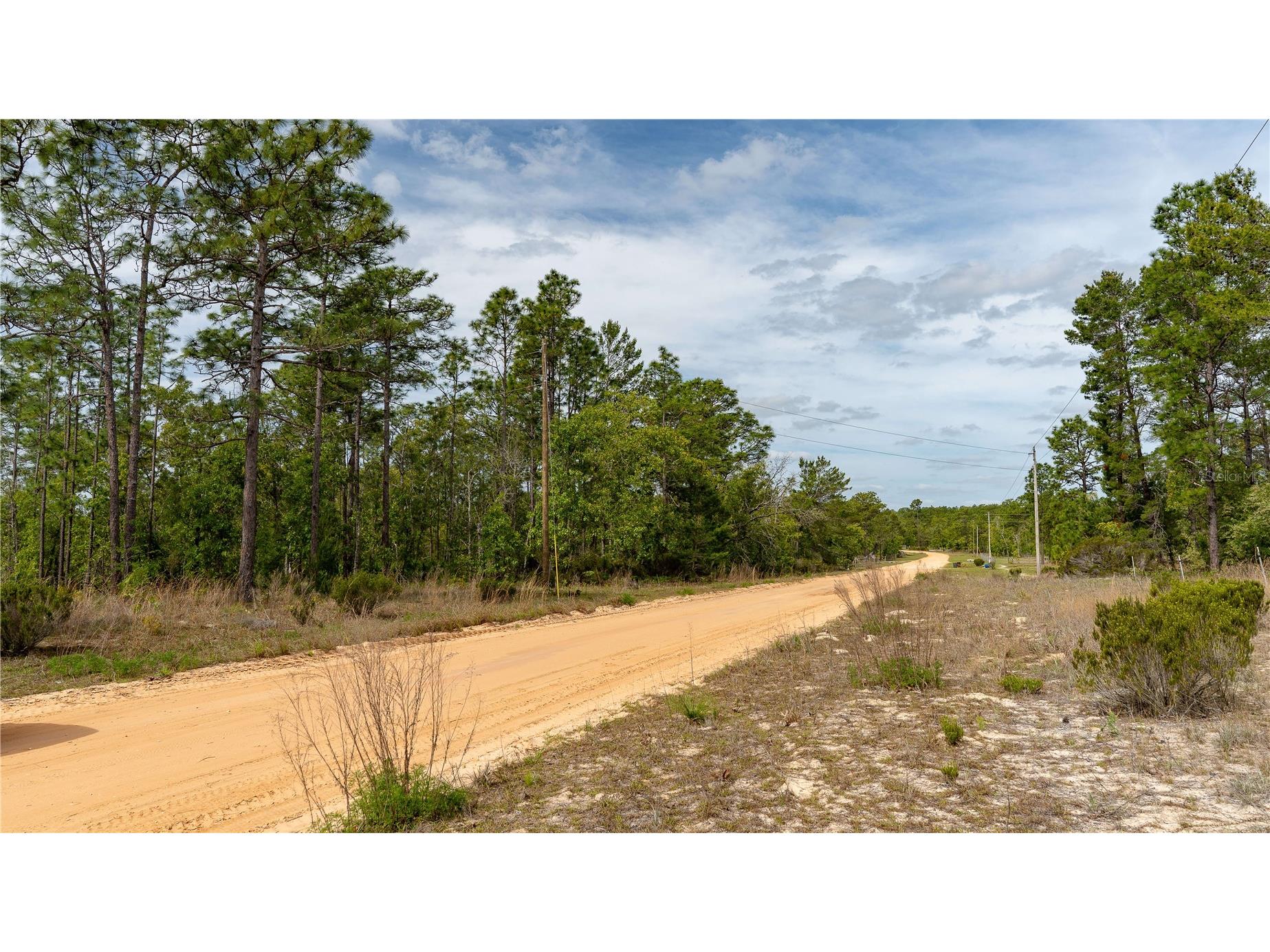 230 Melrose Landing Drive Hawthorne FL 32640 TB8499573 image41