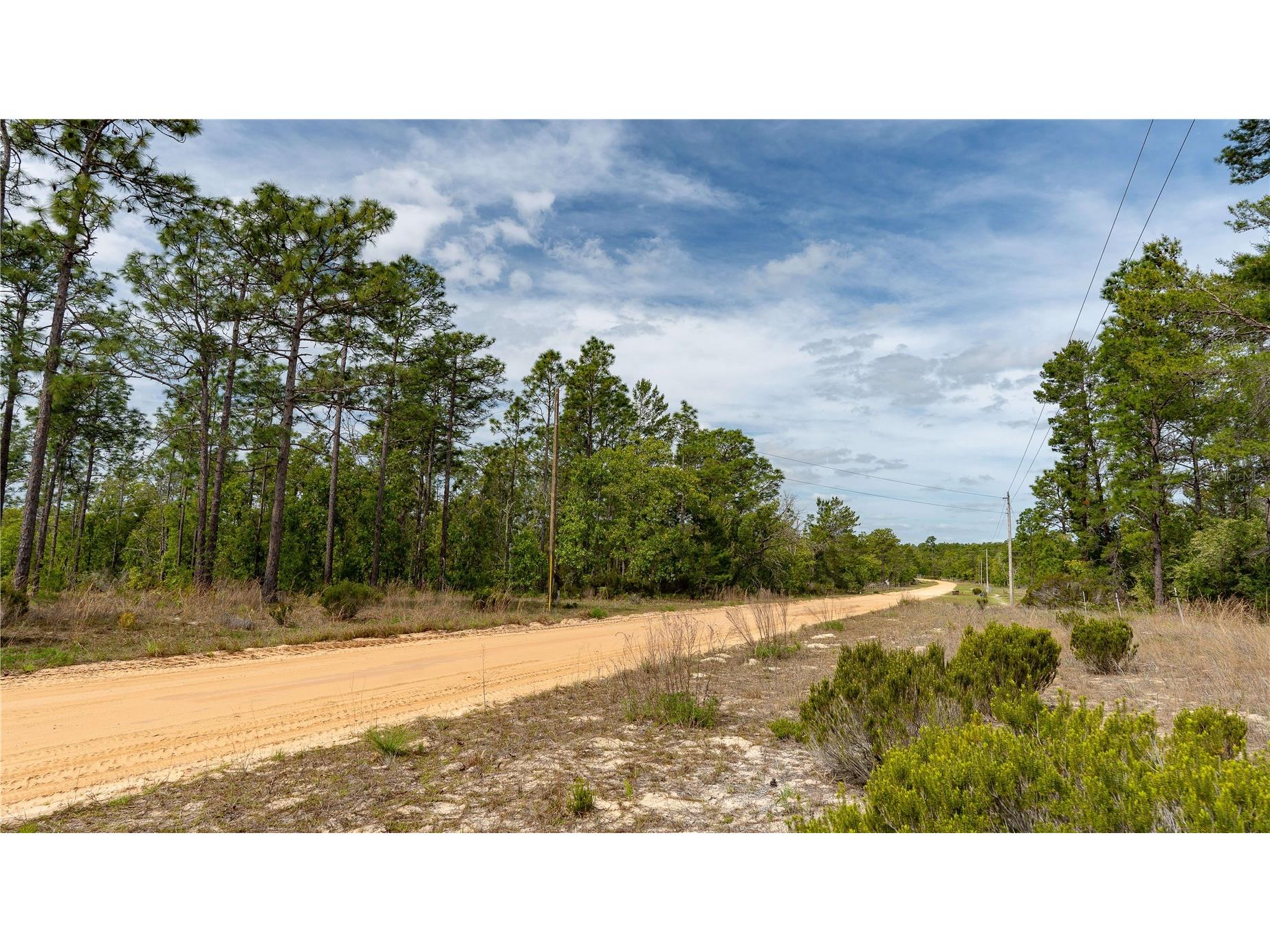 230 Melrose Landing Drive Hawthorne FL 32640 TB8499573 image42