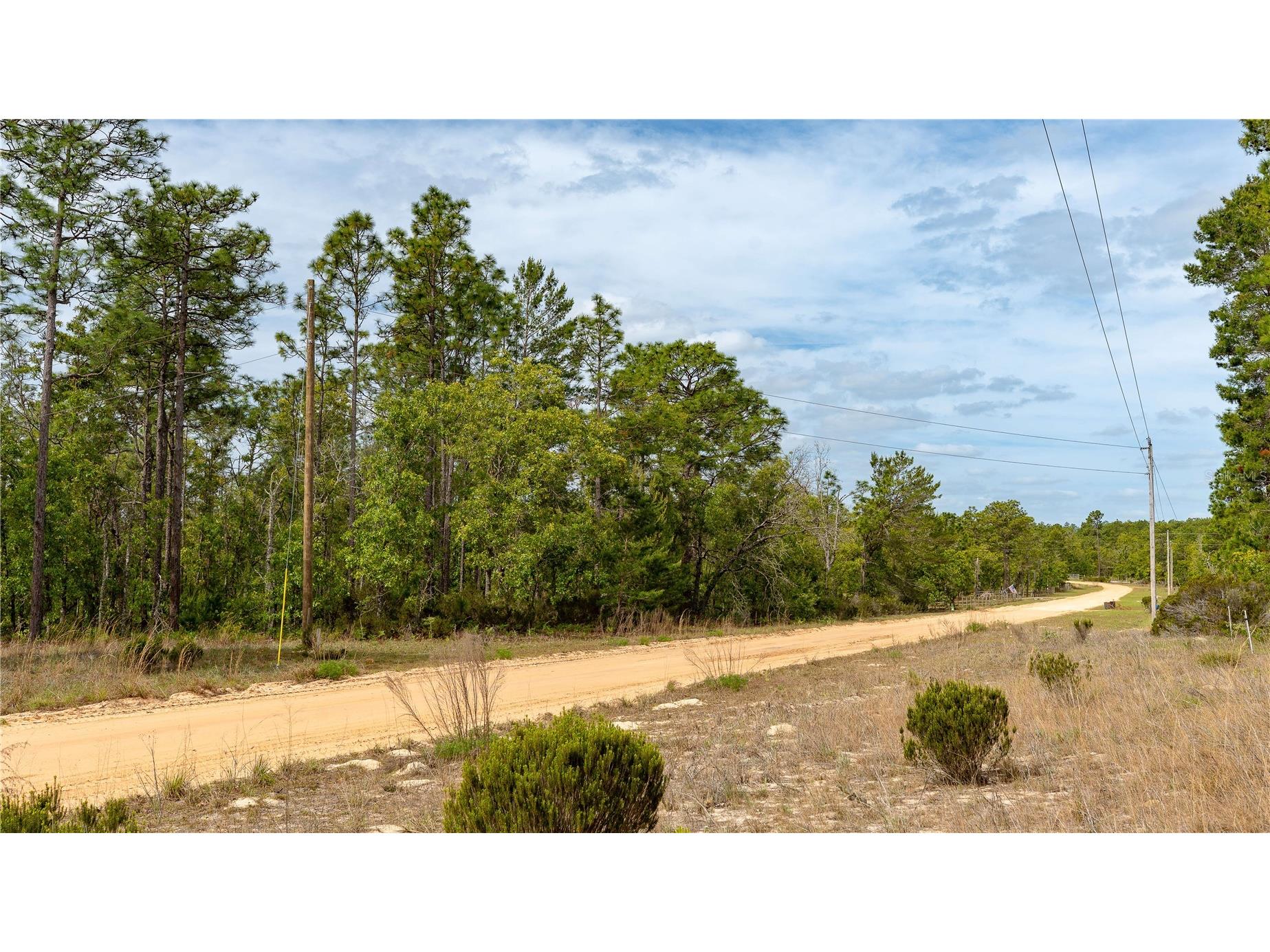 230 Melrose Landing Drive Hawthorne FL 32640 TB8499573 image43