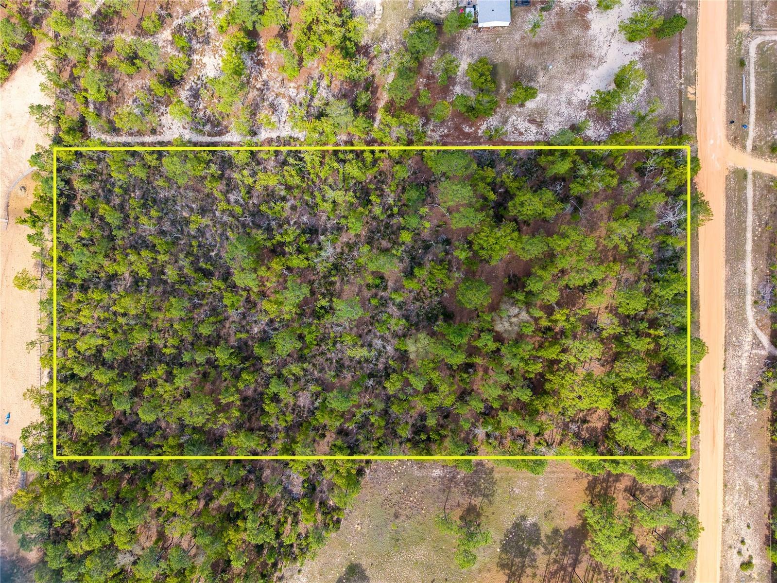 230 Melrose Landing Drive Hawthorne FL 32640 TB8499573 image44