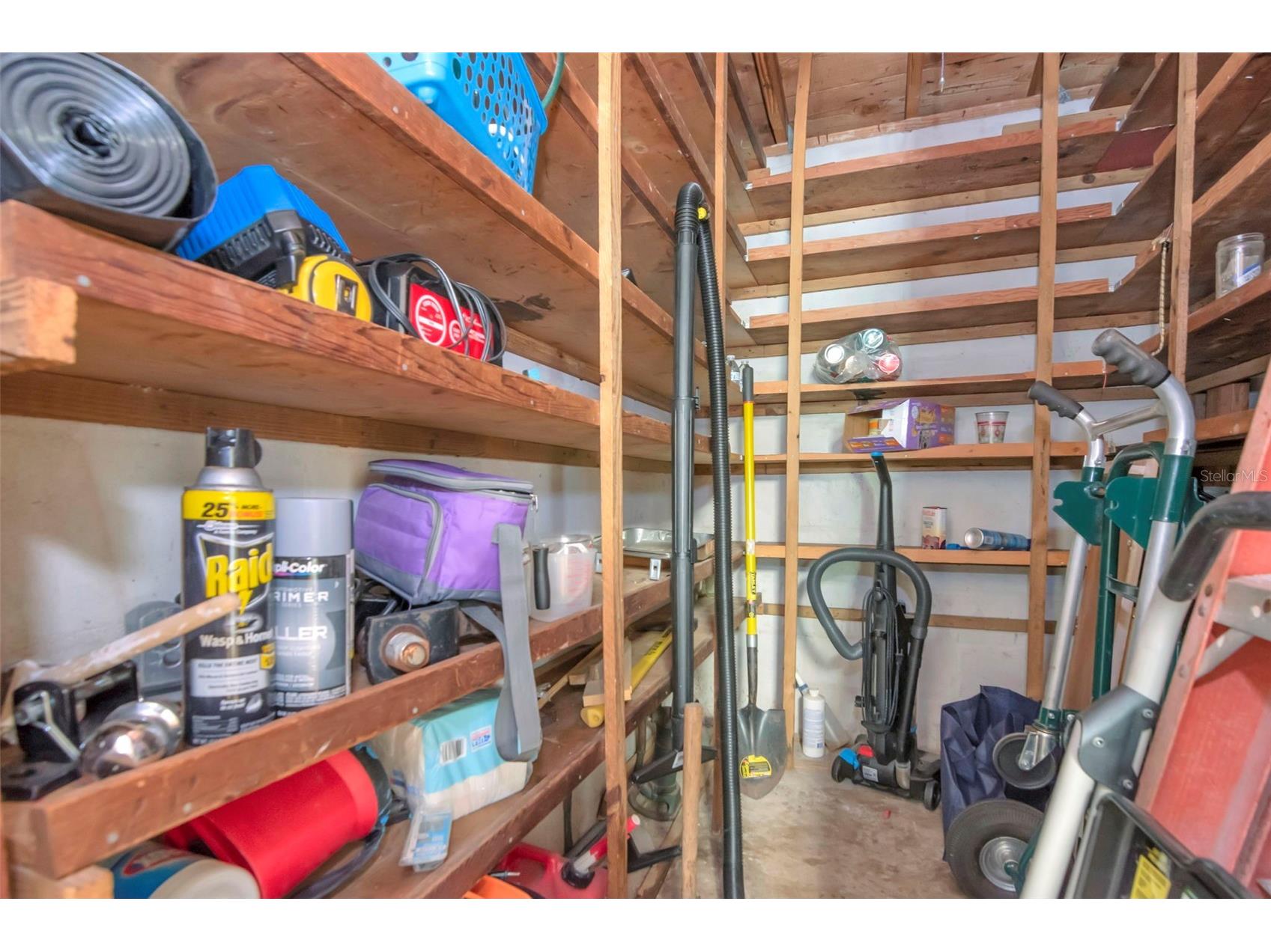 230 Milwaukee Avenue Dunedin FL 34698 TB8490971 image39