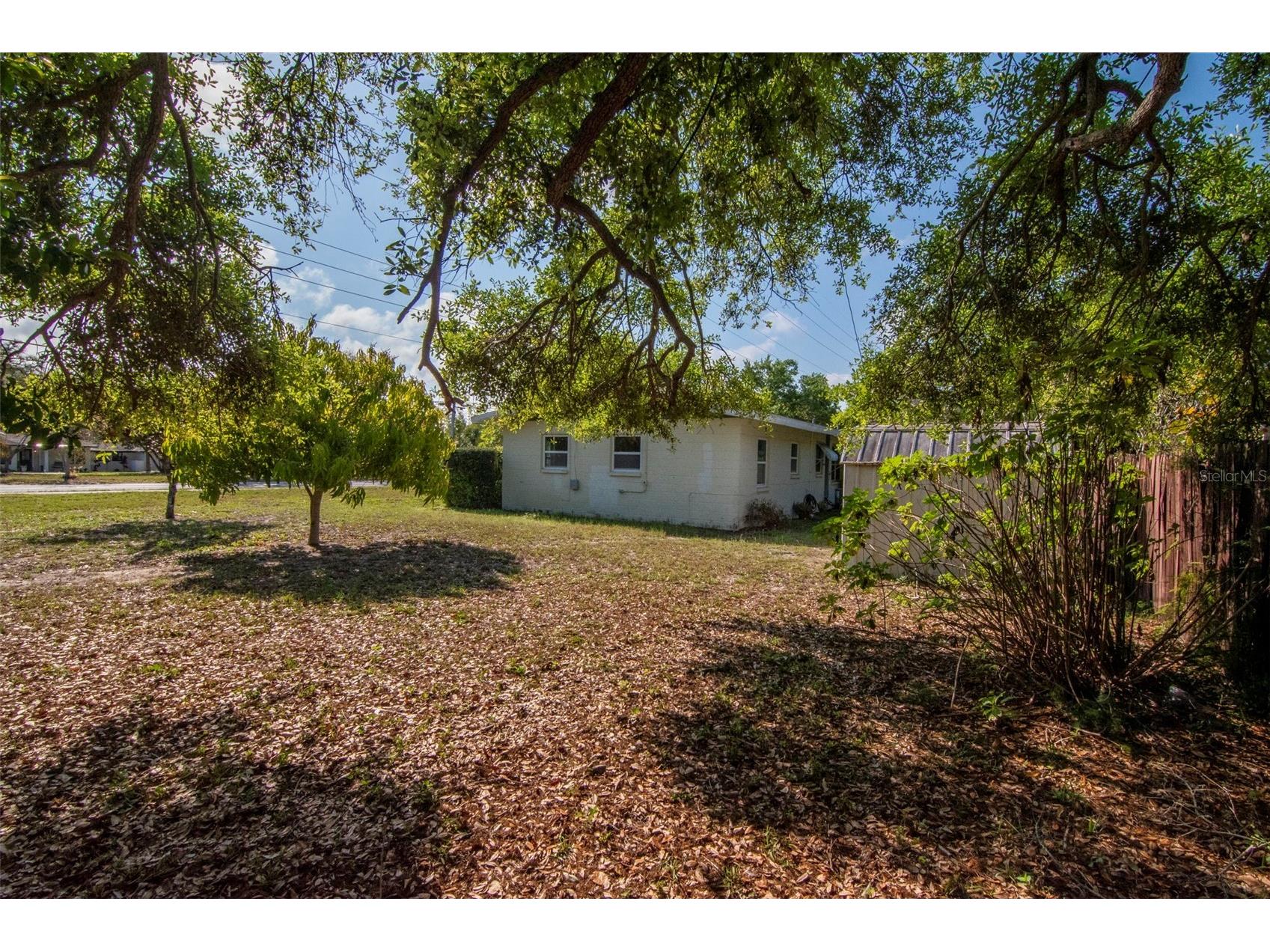 230 Milwaukee Avenue Dunedin FL 34698 TB8490971 image42
