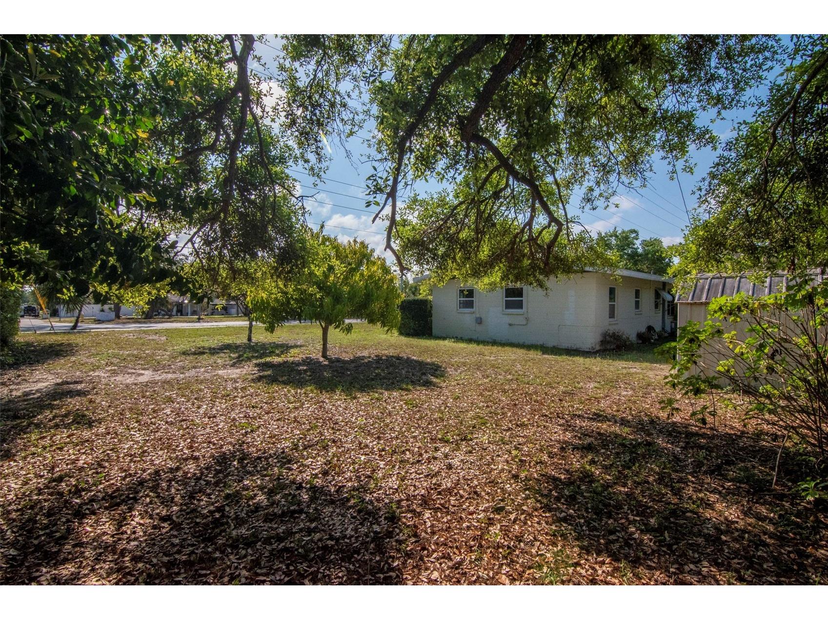 230 Milwaukee Avenue Dunedin FL 34698 TB8490971 image43