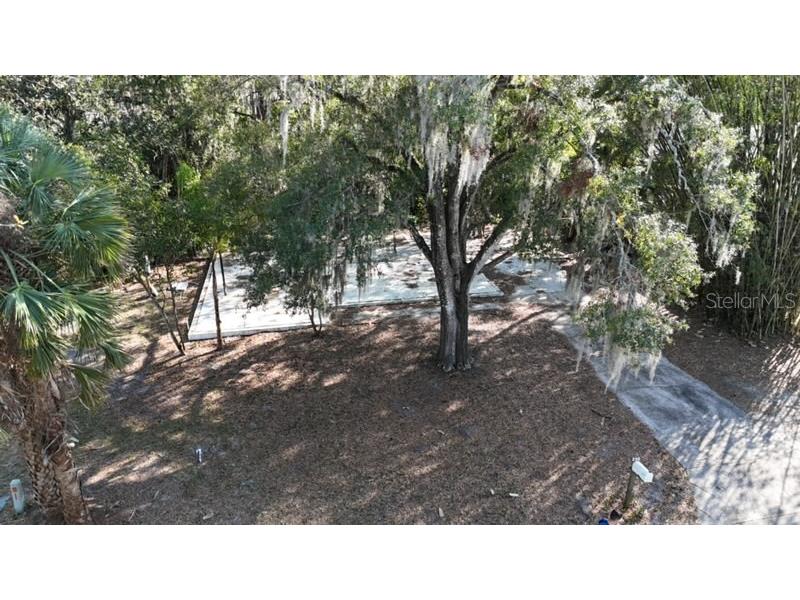 230 Mockingbird Lane Casselberry FL 32707 O6283748 image1