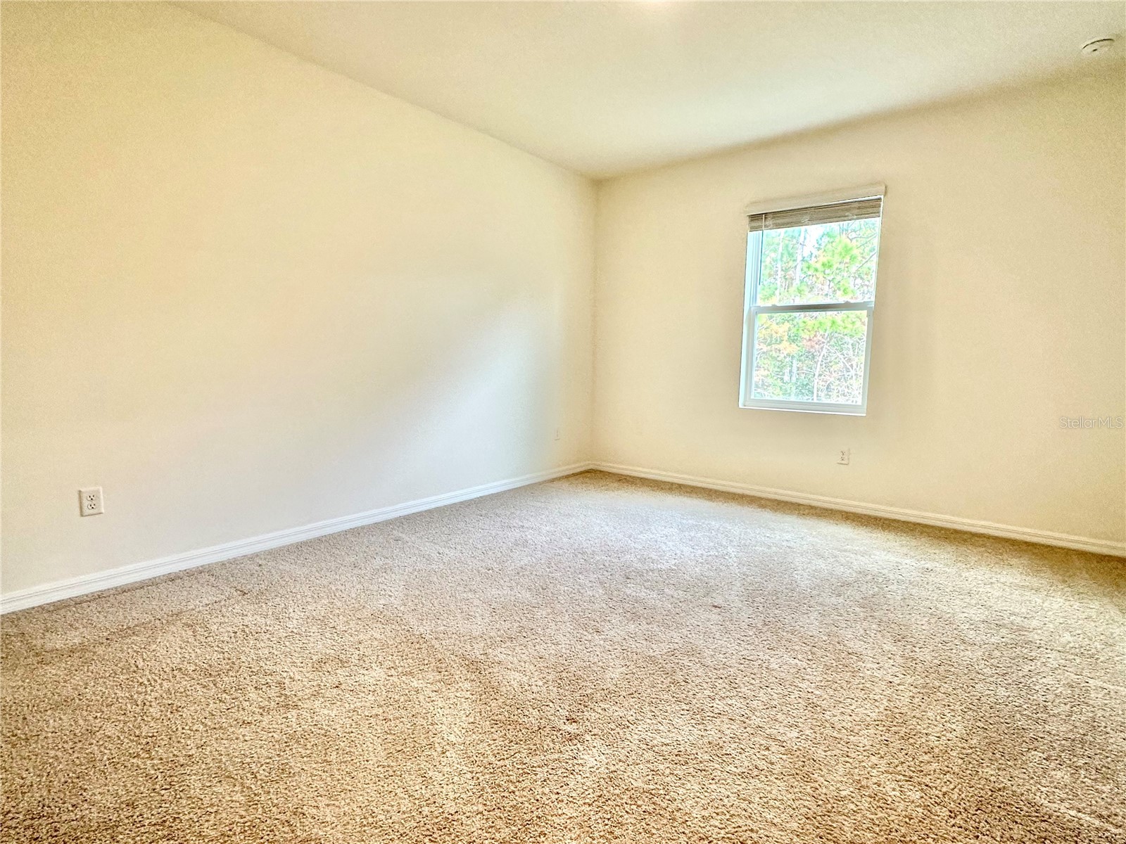 230 Reena Drive Daytona Beach FL 32117 O6359365 image9