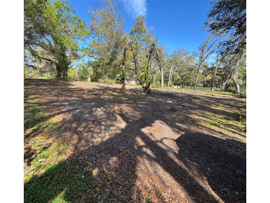 230 Skywood Drive Valrico FL 33594 TB8359651 image1