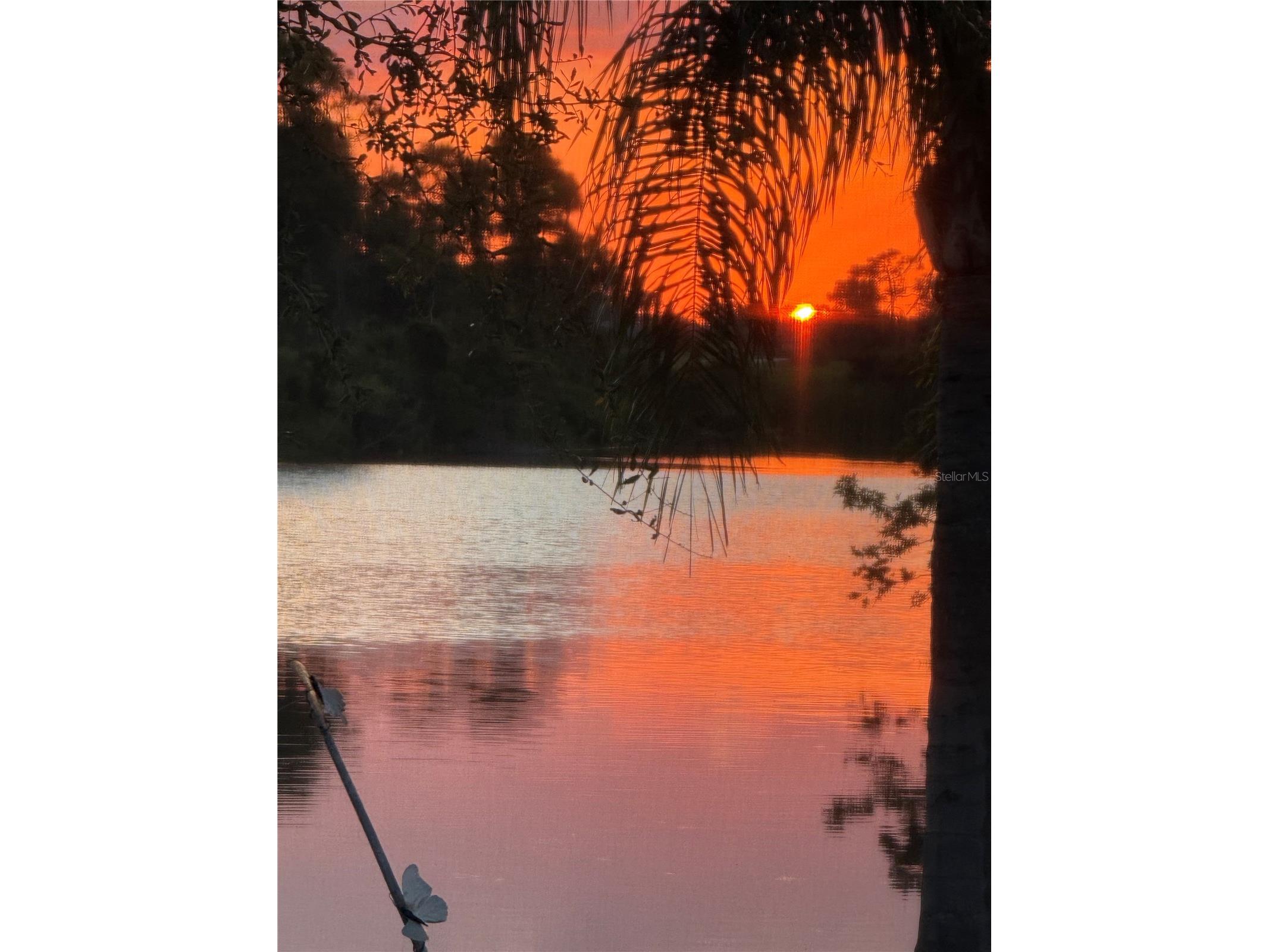 230 Sportsman Road Rotonda West FL 33947 D6147042 image59