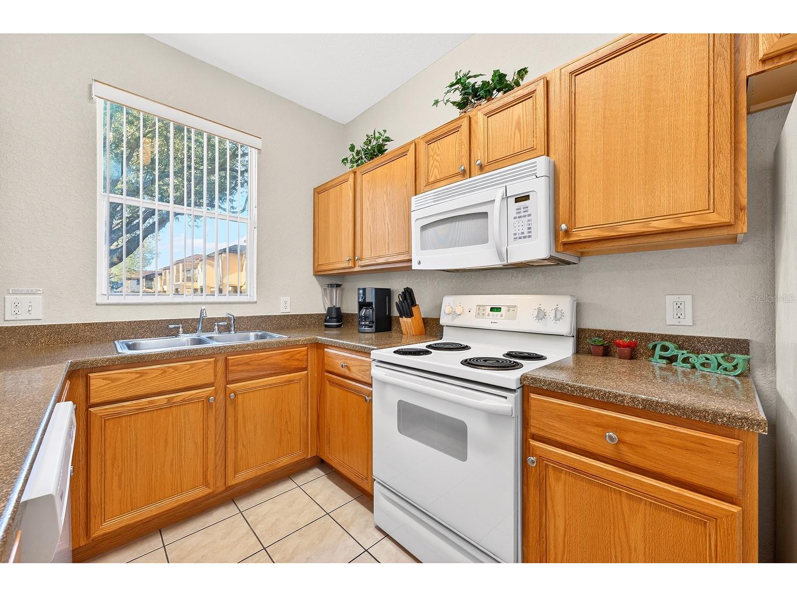 230 Terra Lago Street Davenport FL 33897 O6388947 image7