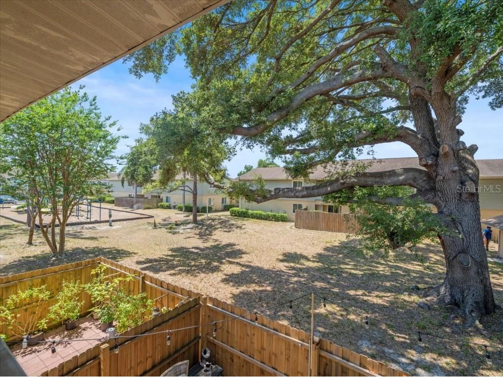 230 Thorn Tree Place #230 Brandon FL 33510 W7870168 image33