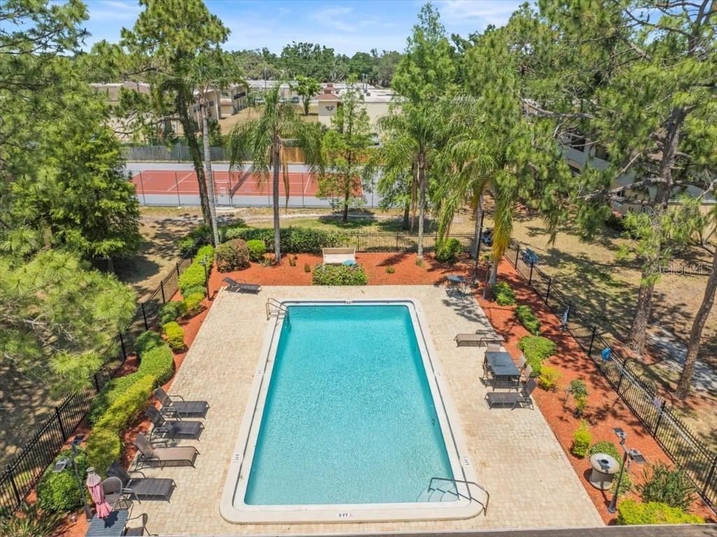 230 Thorn Tree Place #230 Brandon FL 33510 W7870168 image42