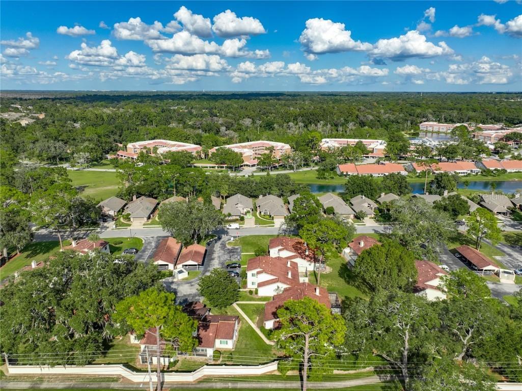 230 W Sabal Palm Place Longwood FL 32779 O6355729 image22