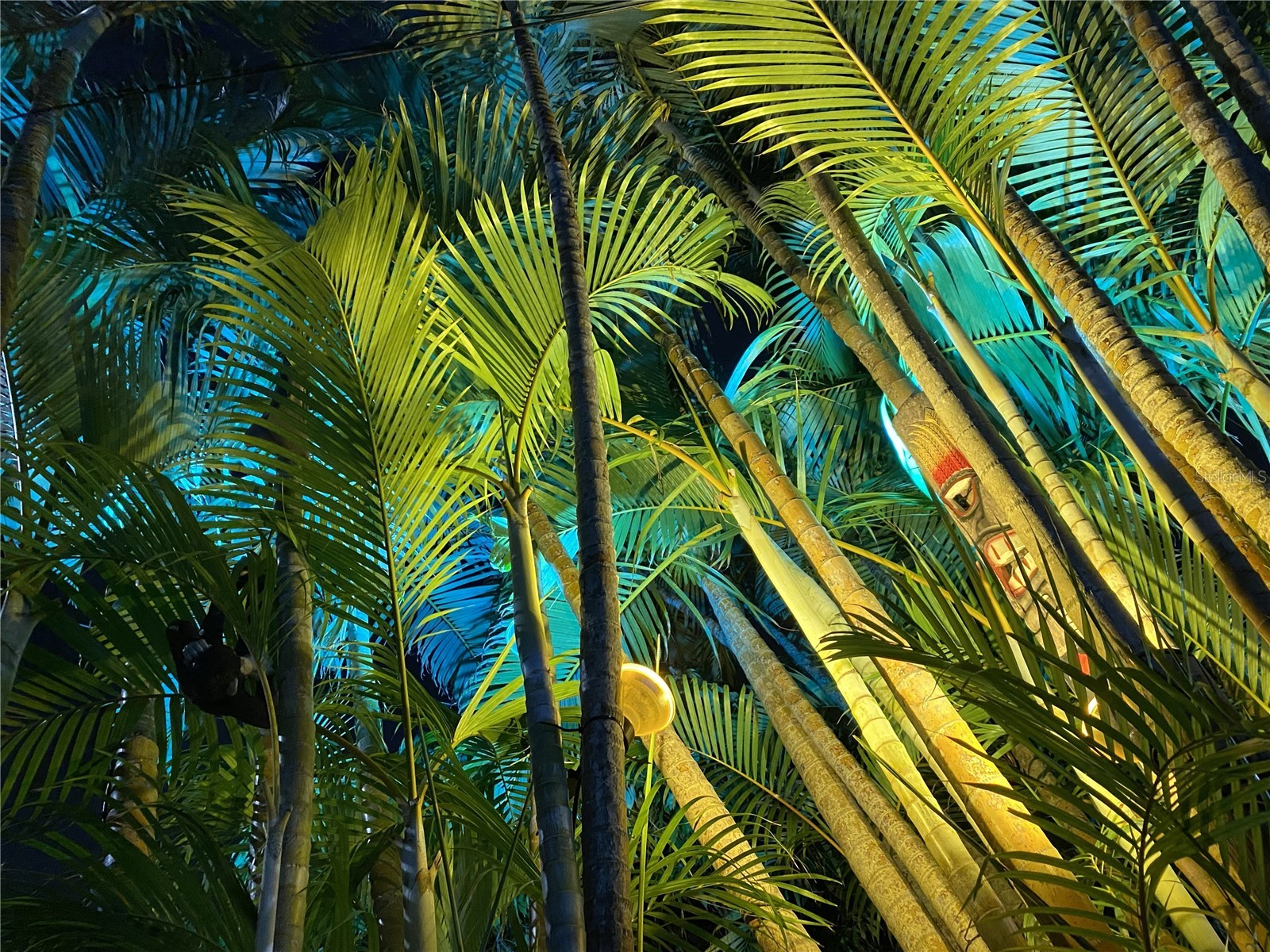 2300 37th Avenue N Saint Petersburg FL 33713 TB8470754 image51