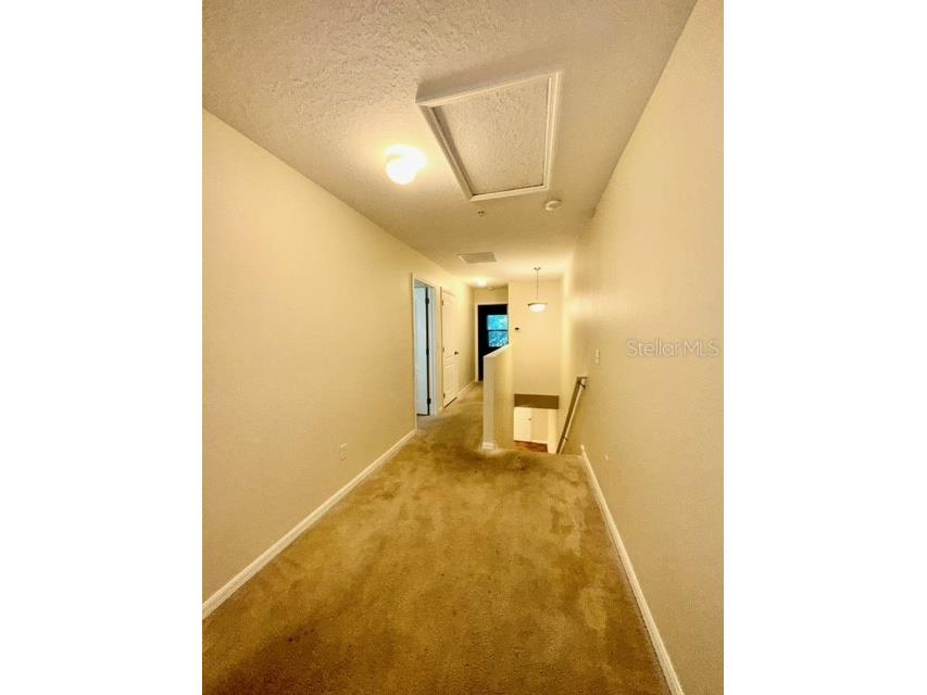 2300 Aloha Bay Court Ocoee FL 34761 S5146086 image17