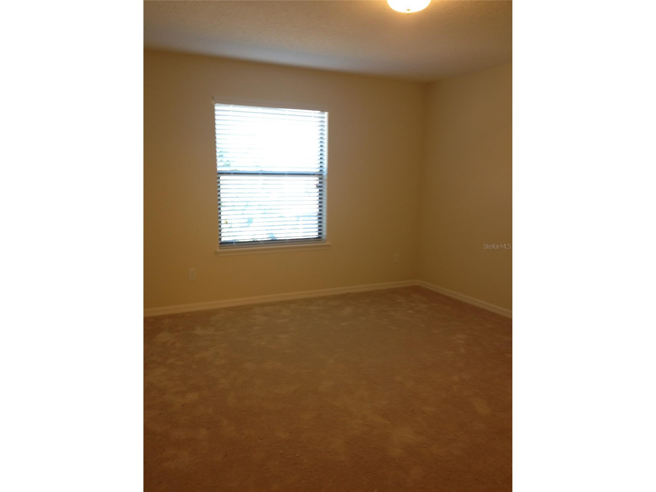 2300 Aloha Bay Court Ocoee FL 34761 S5146086 image5