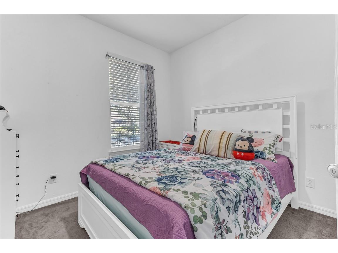 2300 Grasmere View Parkway S Kissimmee FL 34746 O6275068 image8