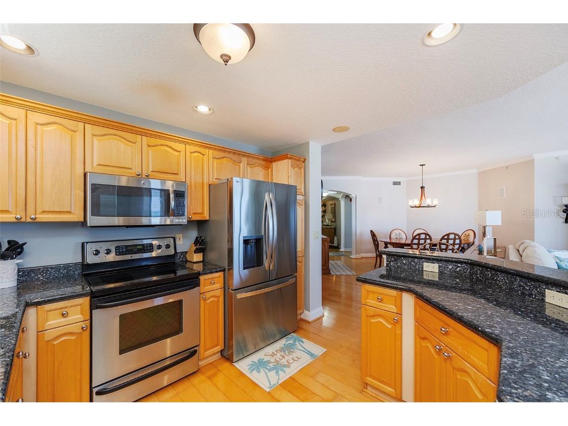 2300 N Atlantic Avenue #203 Daytona Beach FL 32118 NS1085157 image41