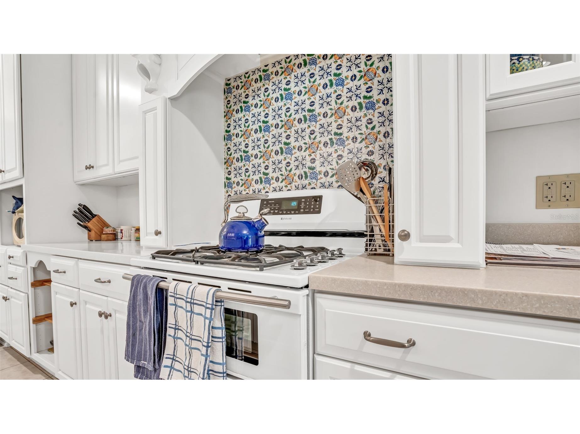 2300 N Scenic Highway #37E Lake Wales FL 33898 P4938039 image21