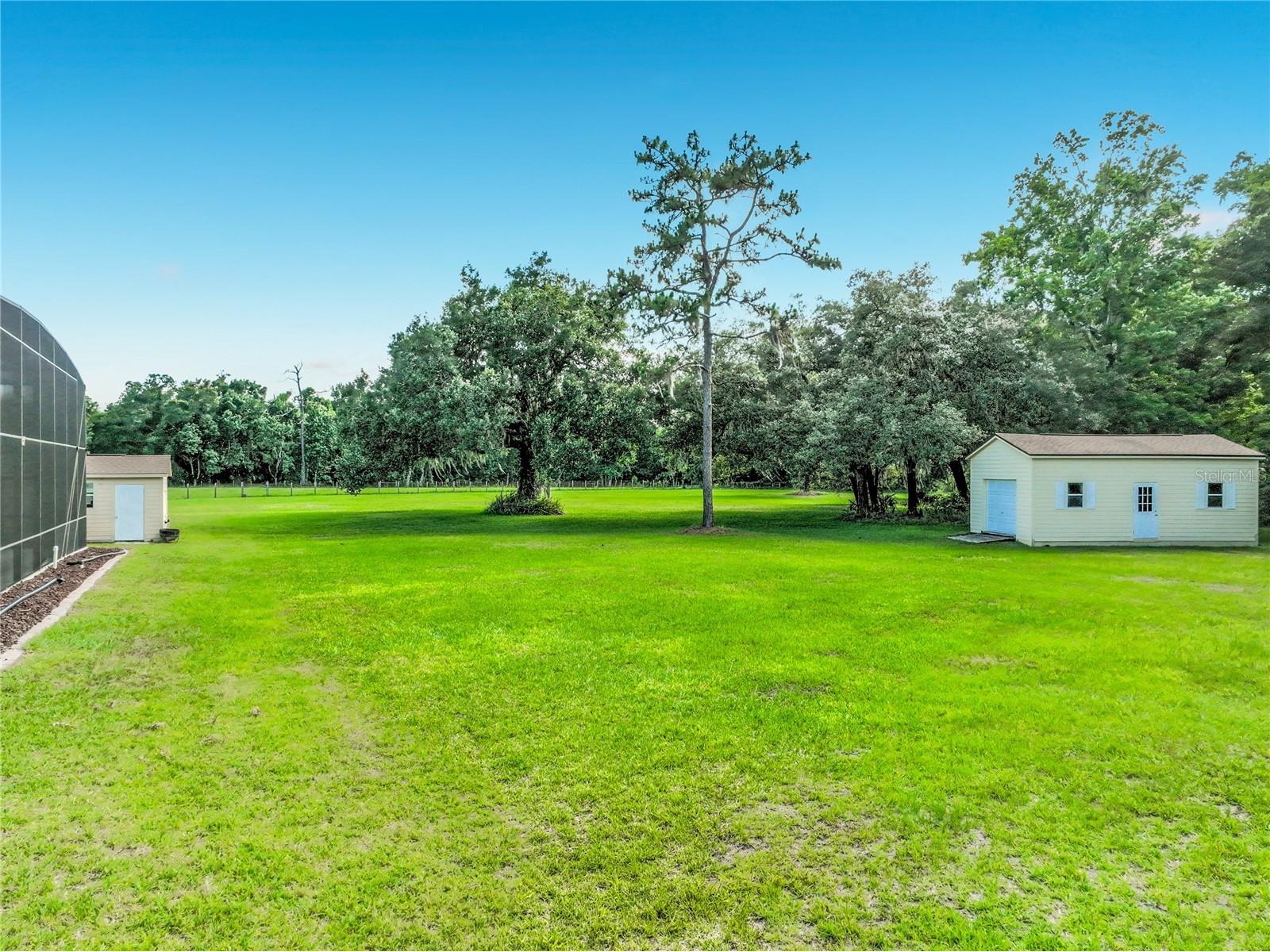 2300 Pine Meadows Place Chuluota FL 32766 O6410348 image55