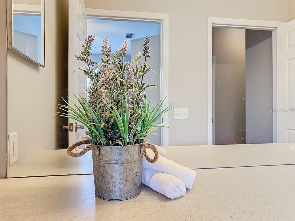 2300 Silver Palm Drive #205 Kissimmee FL 34747 O6343955 image24