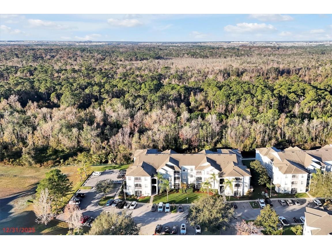 2300 Silver Palm Drive #302 Kissimmee FL 34747 O6371103 image27