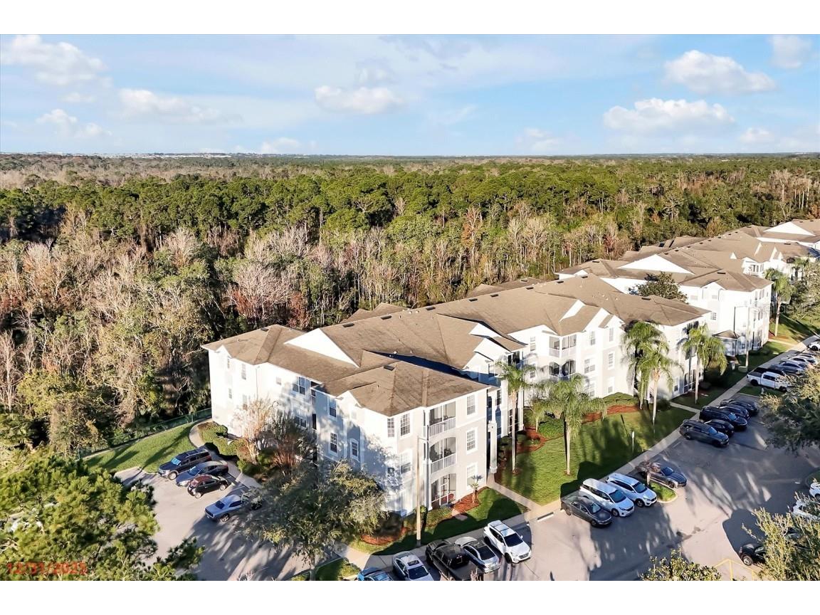 2300 Silver Palm Drive #302 Kissimmee FL 34747 O6371103 image43