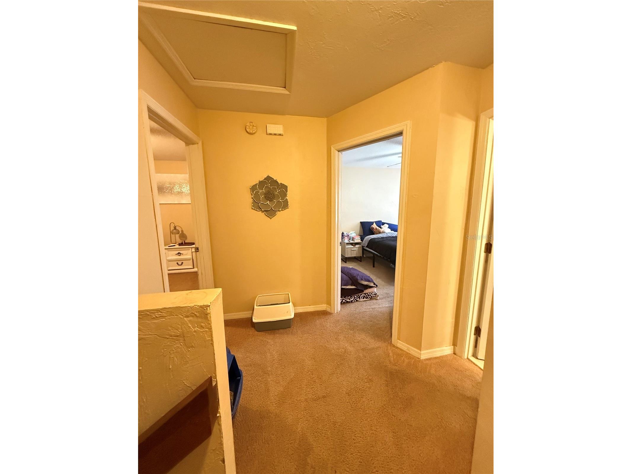2300 SW 43rd Street #G5 Gainesville FL 32607 GC540017 image11