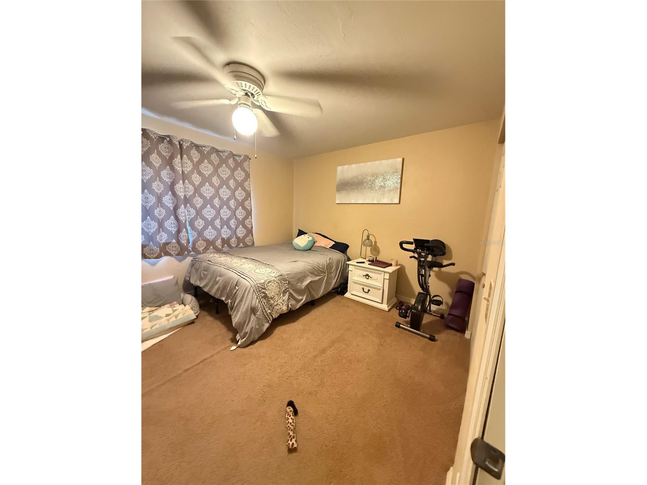 2300 SW 43rd Street #G5 Gainesville FL 32607 GC540017 image3
