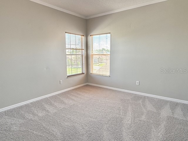 2300 The Oaks Boulevard Kissimmee FL 34746 O6427506 image45