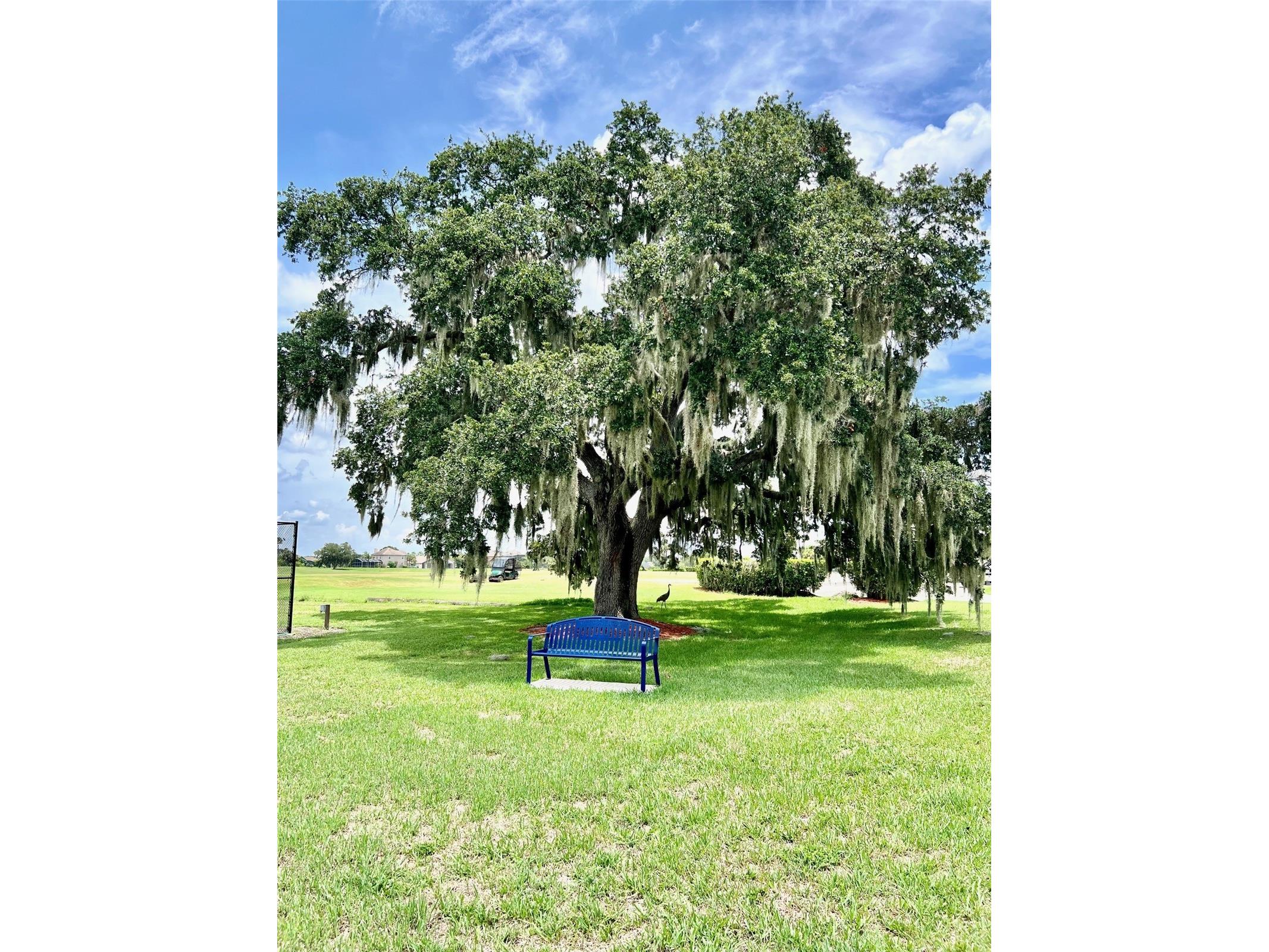 2300 The Oaks Boulevard Kissimmee FL 34746 O6427506 image56