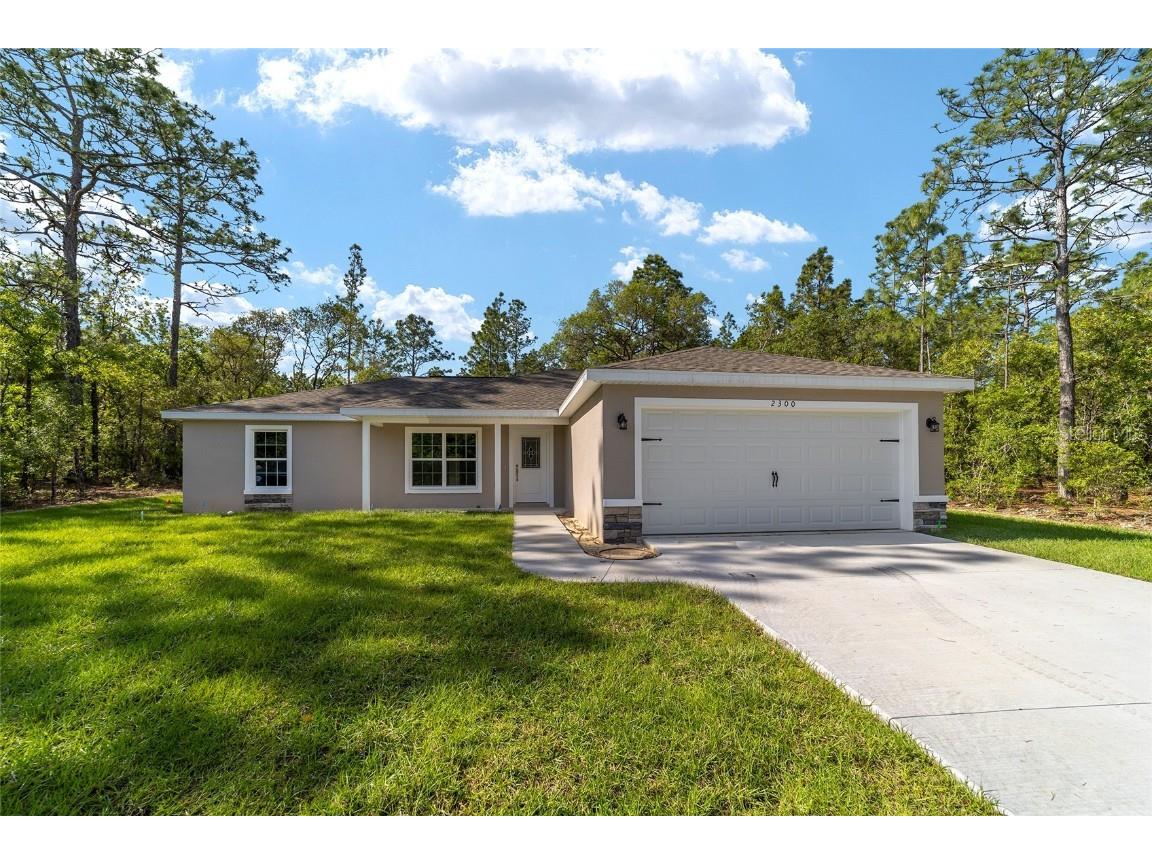 2300 W Wavecrest Drive Citrus Springs FL 34434 O6175020 image1