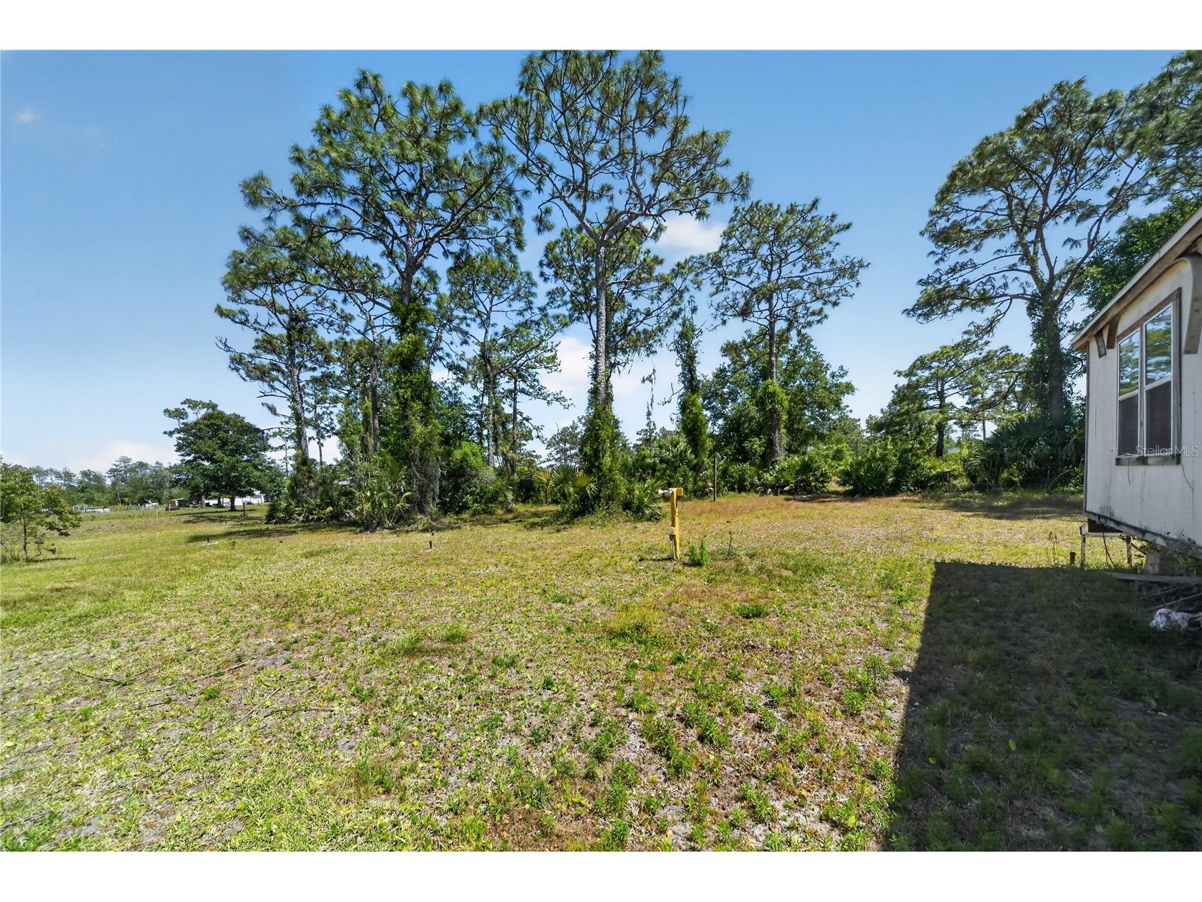 23000 Tex Wheeler Avenue Christmas FL 32709 O6406322 image30