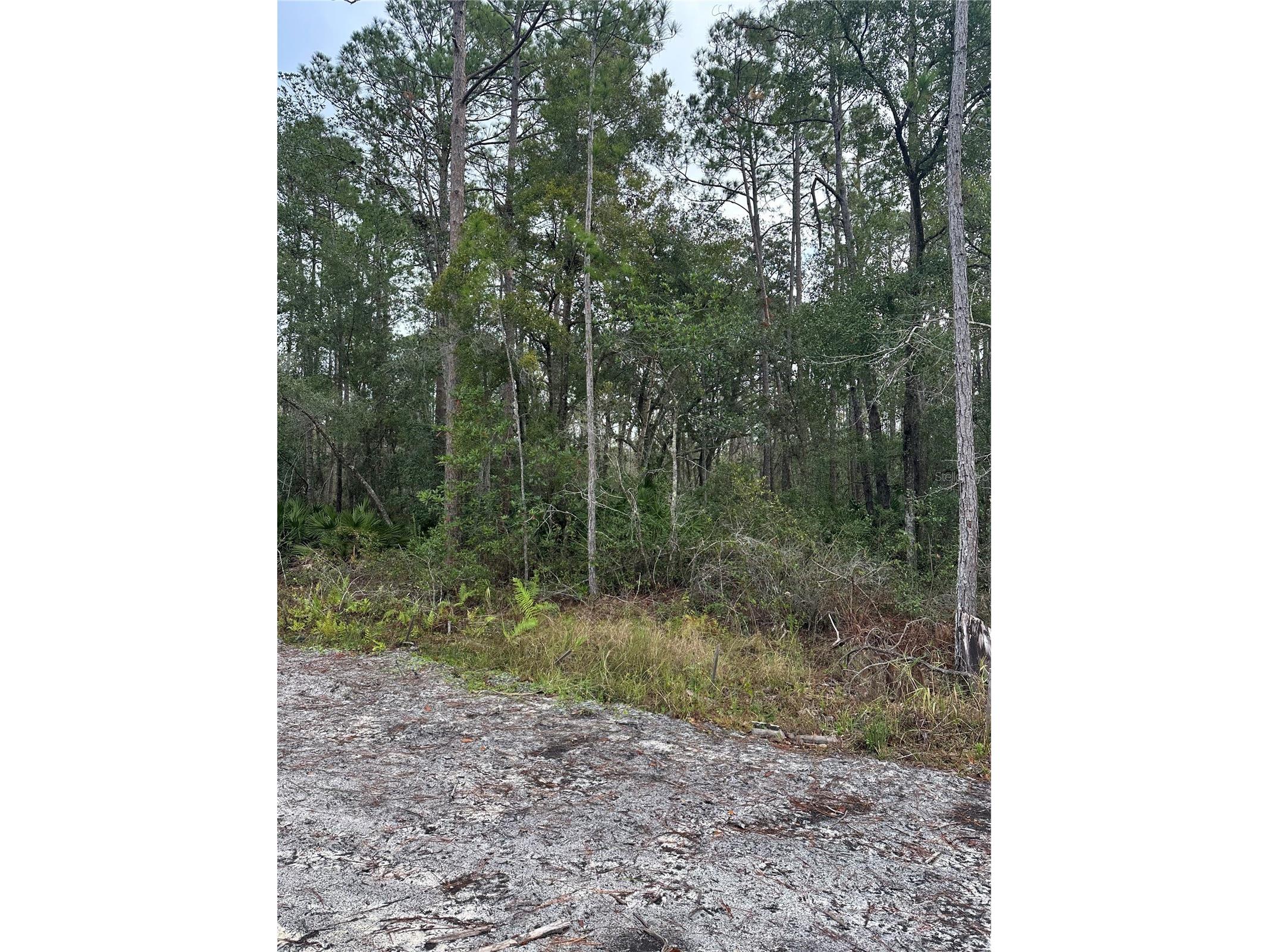 2301 10th Avenue Deland FL 32724 NS1088656 image2