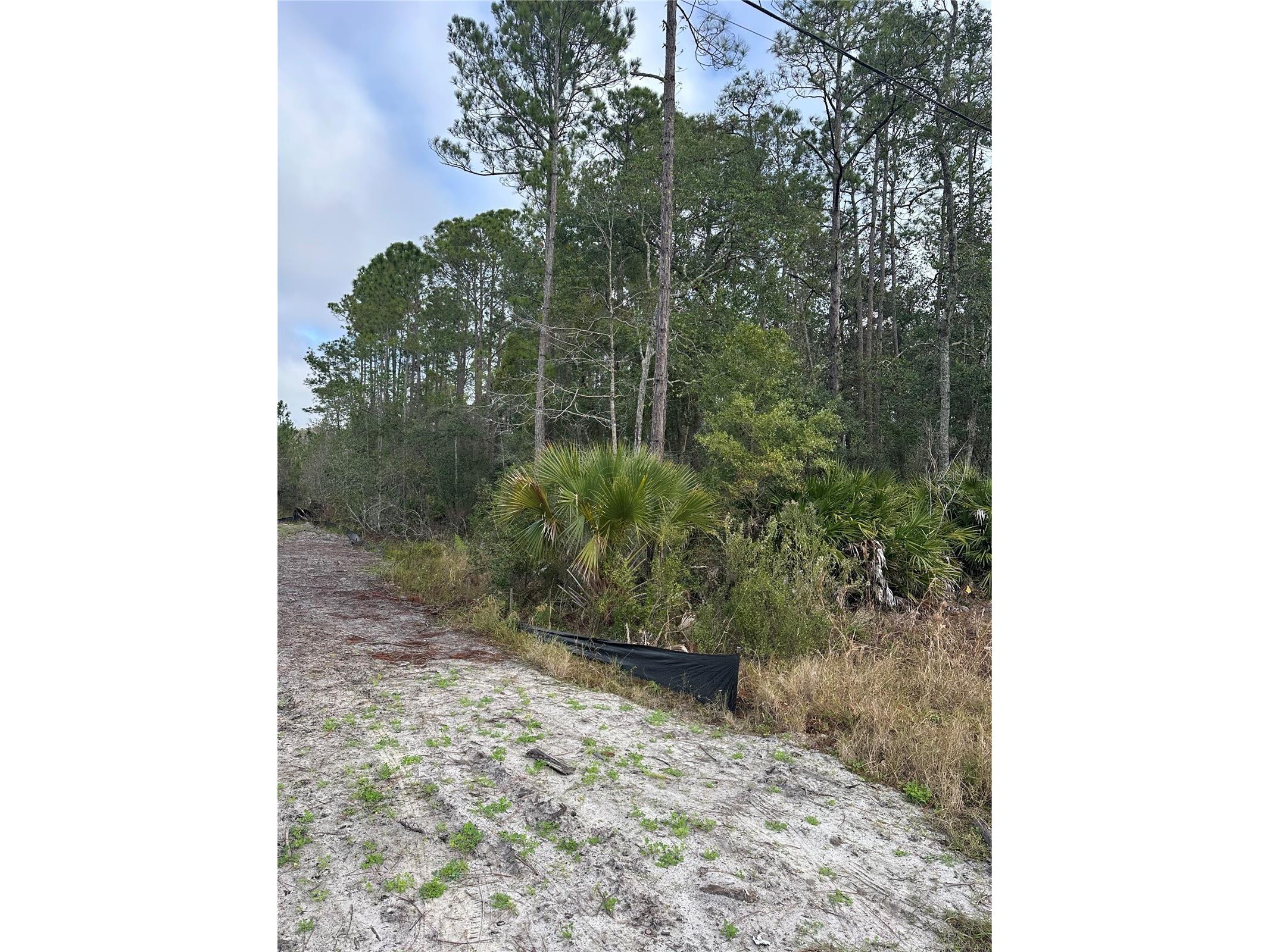 2301 10th Avenue Deland FL 32724 NS1088656 image3