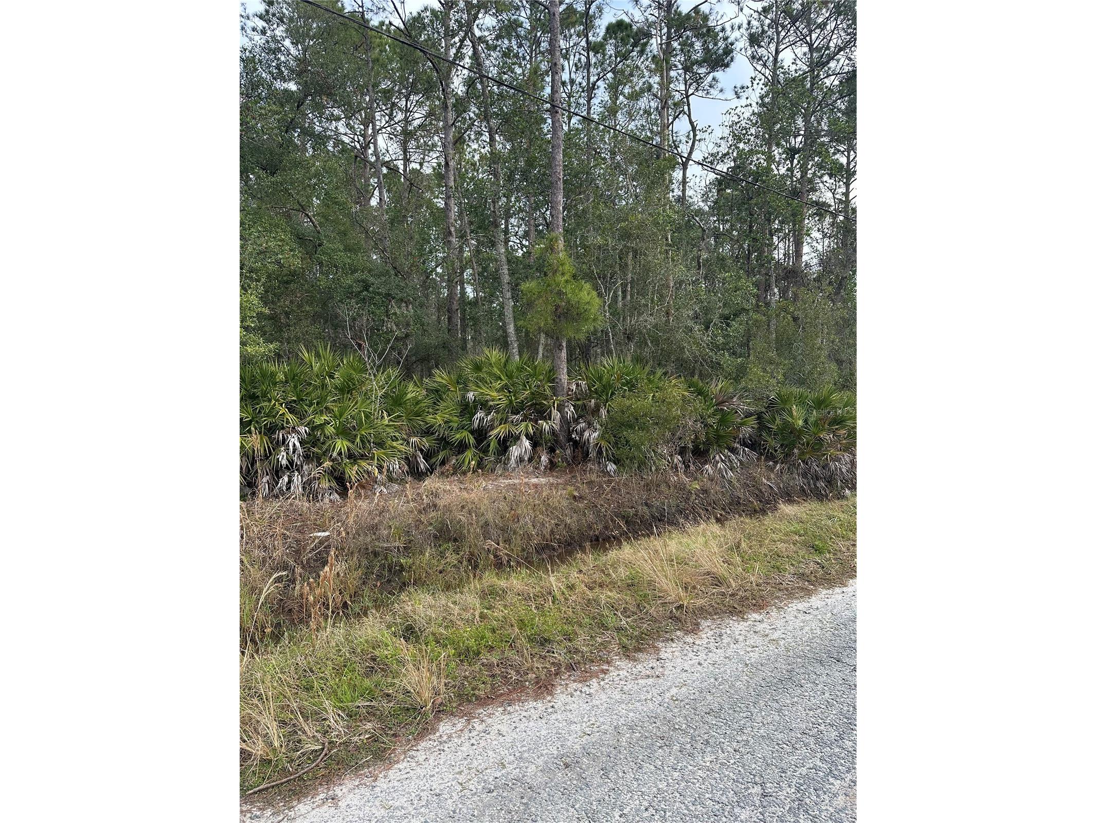 2301 10th Avenue Deland FL 32724 NS1088656 image4
