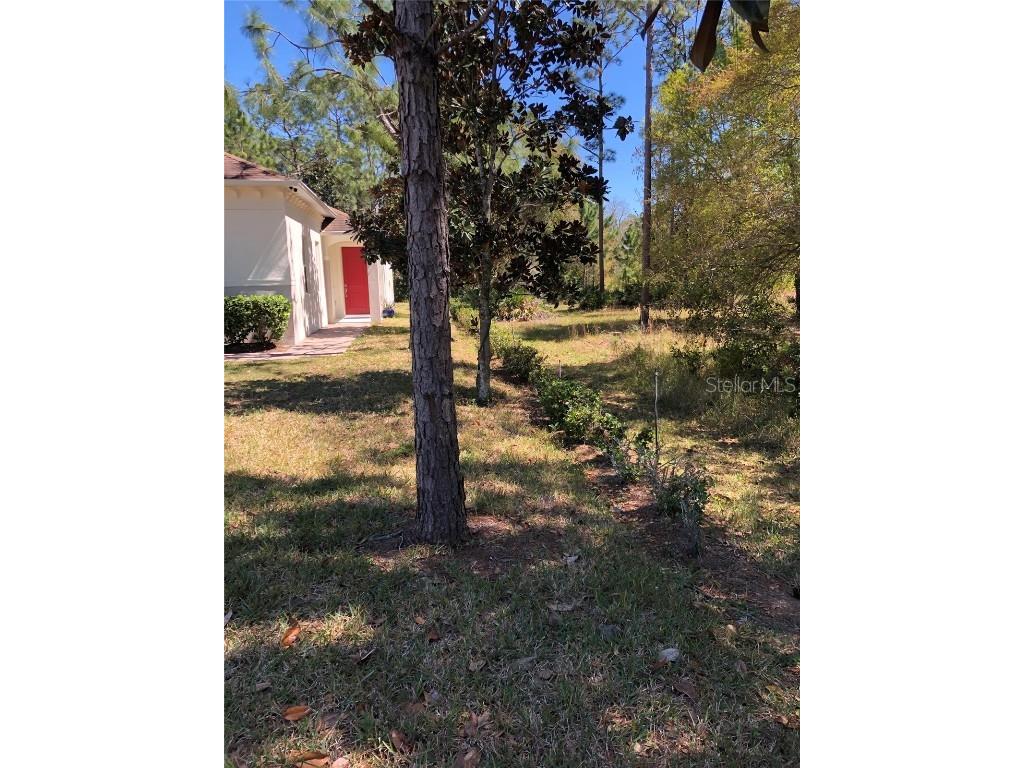 2301 Avellino Avenue Saint Cloud FL 34771 O6292830 image2