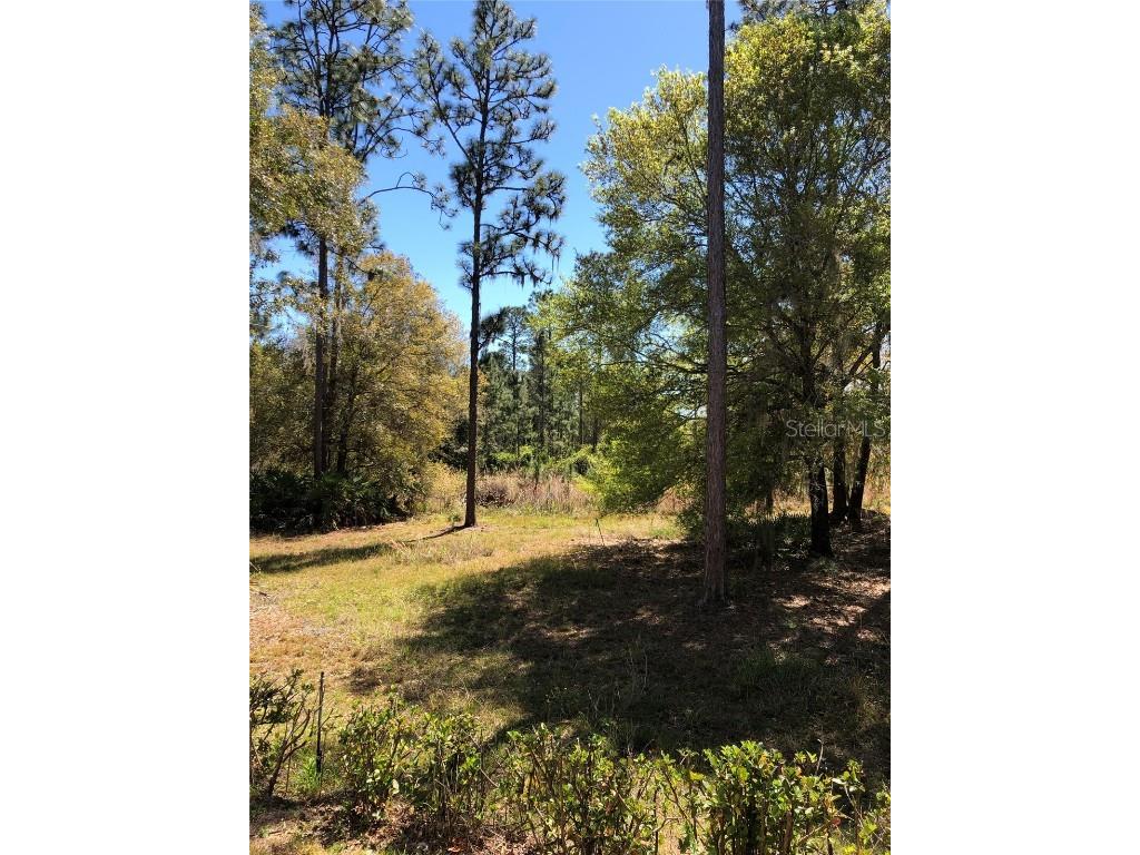 2301 Avellino Avenue Saint Cloud FL 34771 O6292830 image27