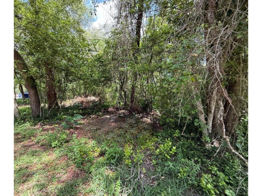 2301 E Graves Avenue Orange City FL 32763 OM703237 image10