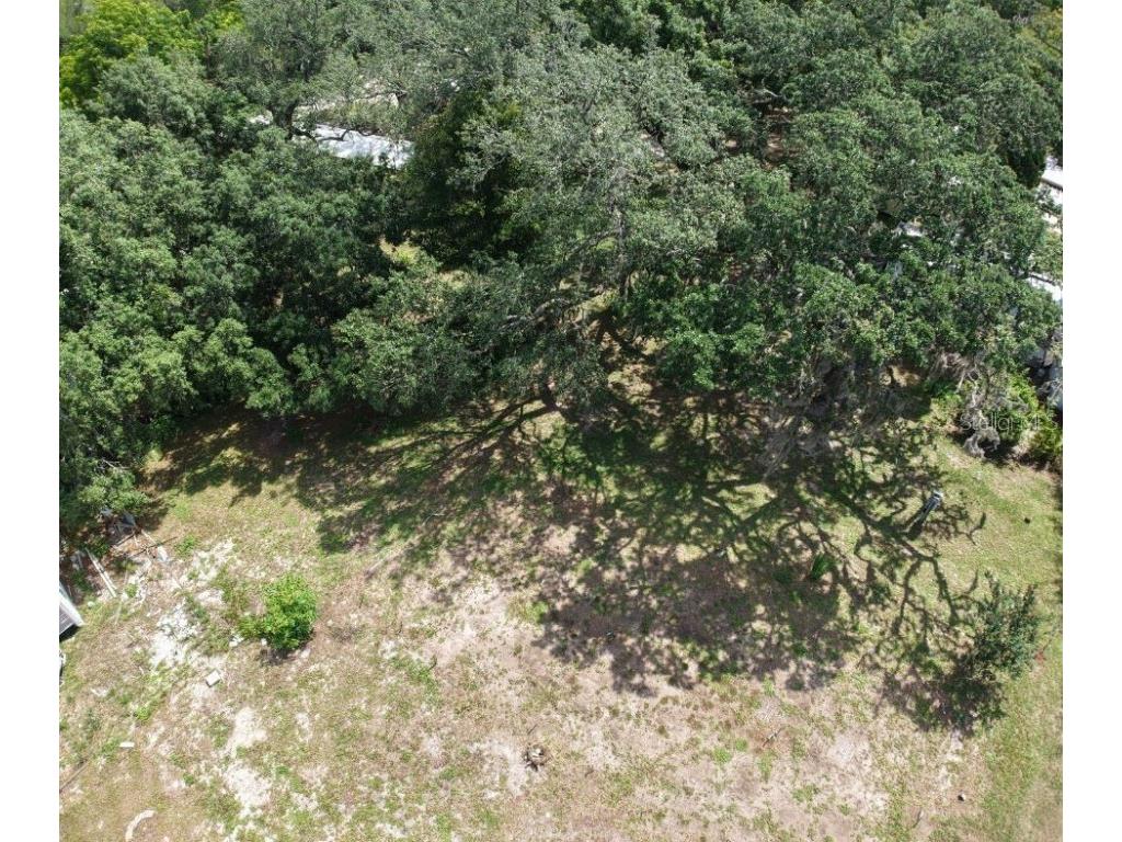 2301 E Graves Avenue Orange City FL 32763 OM703237 image20