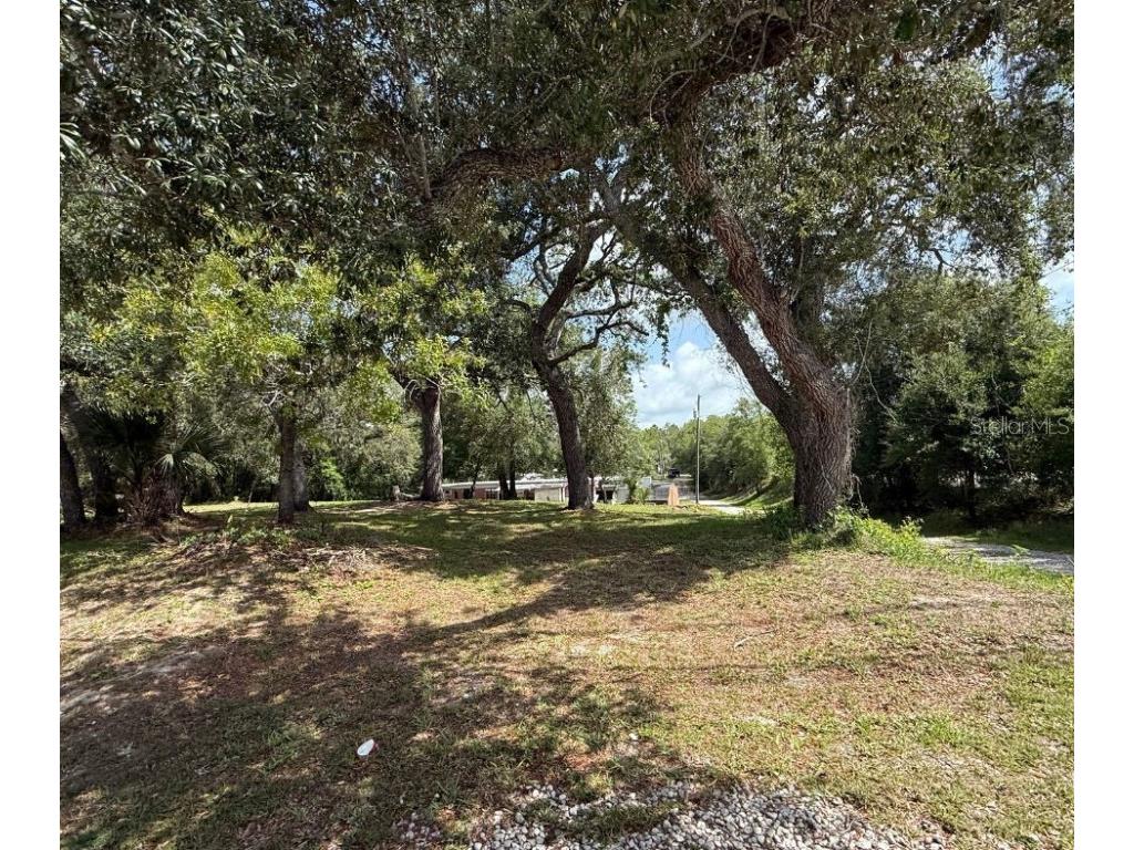 2301 E Graves Avenue Orange City FL 32763 OM703237 image29