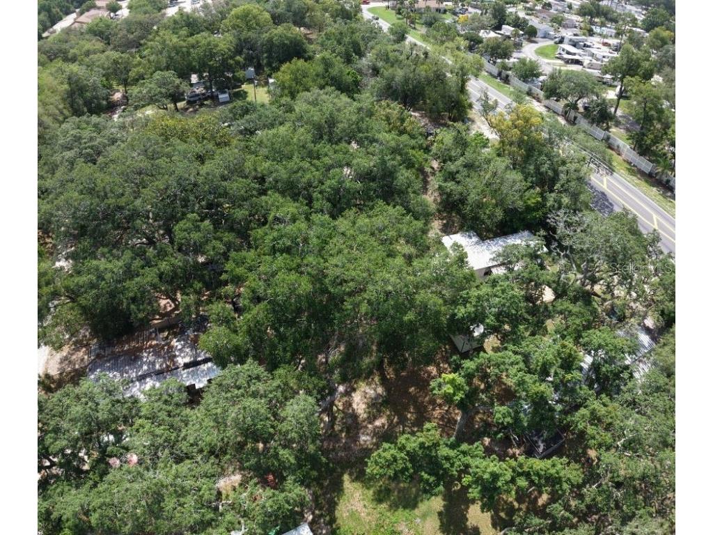 2301 E Graves Avenue Orange City FL 32763 OM703237 image4